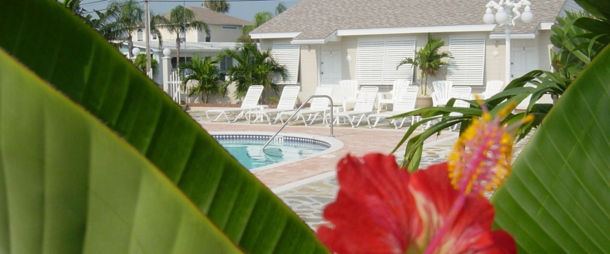 Private pool area
