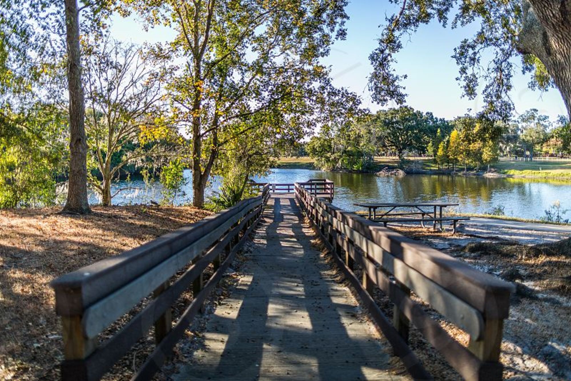 Cliff Stephens Park