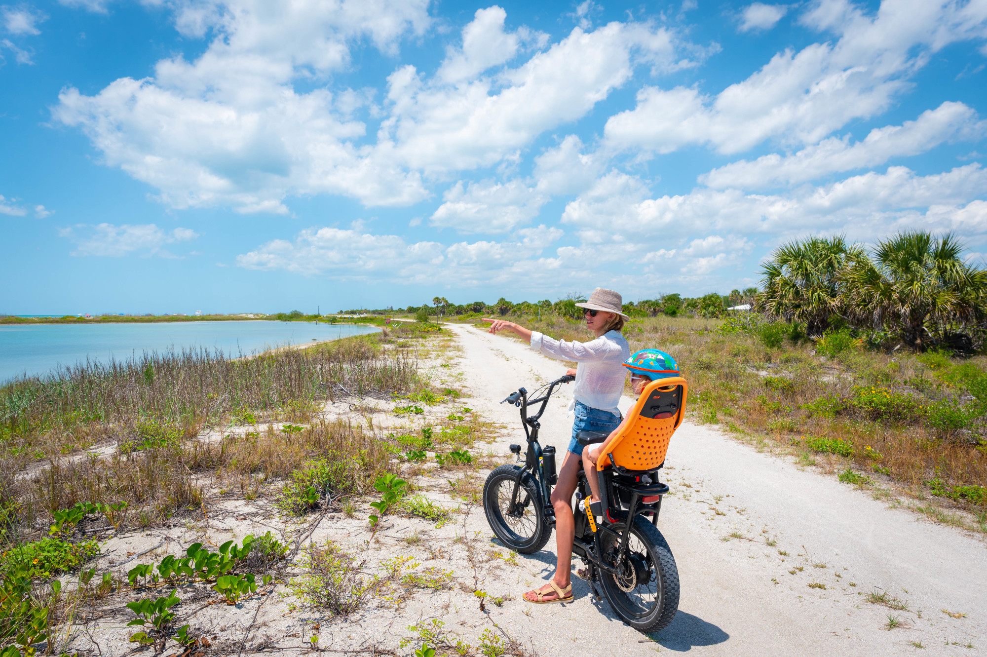 Bay E-Bikes