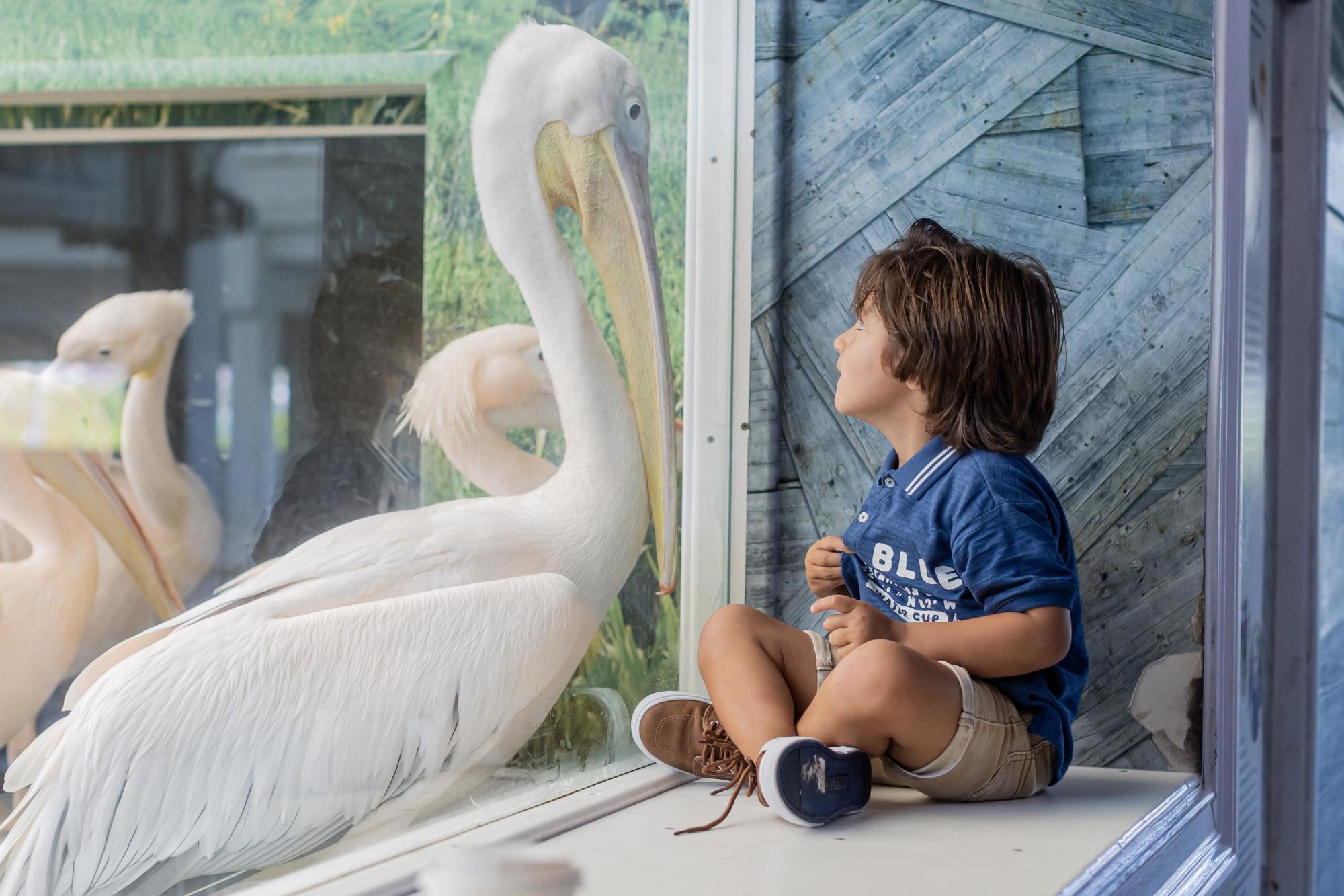 Clearwater Marine Aquarium 3