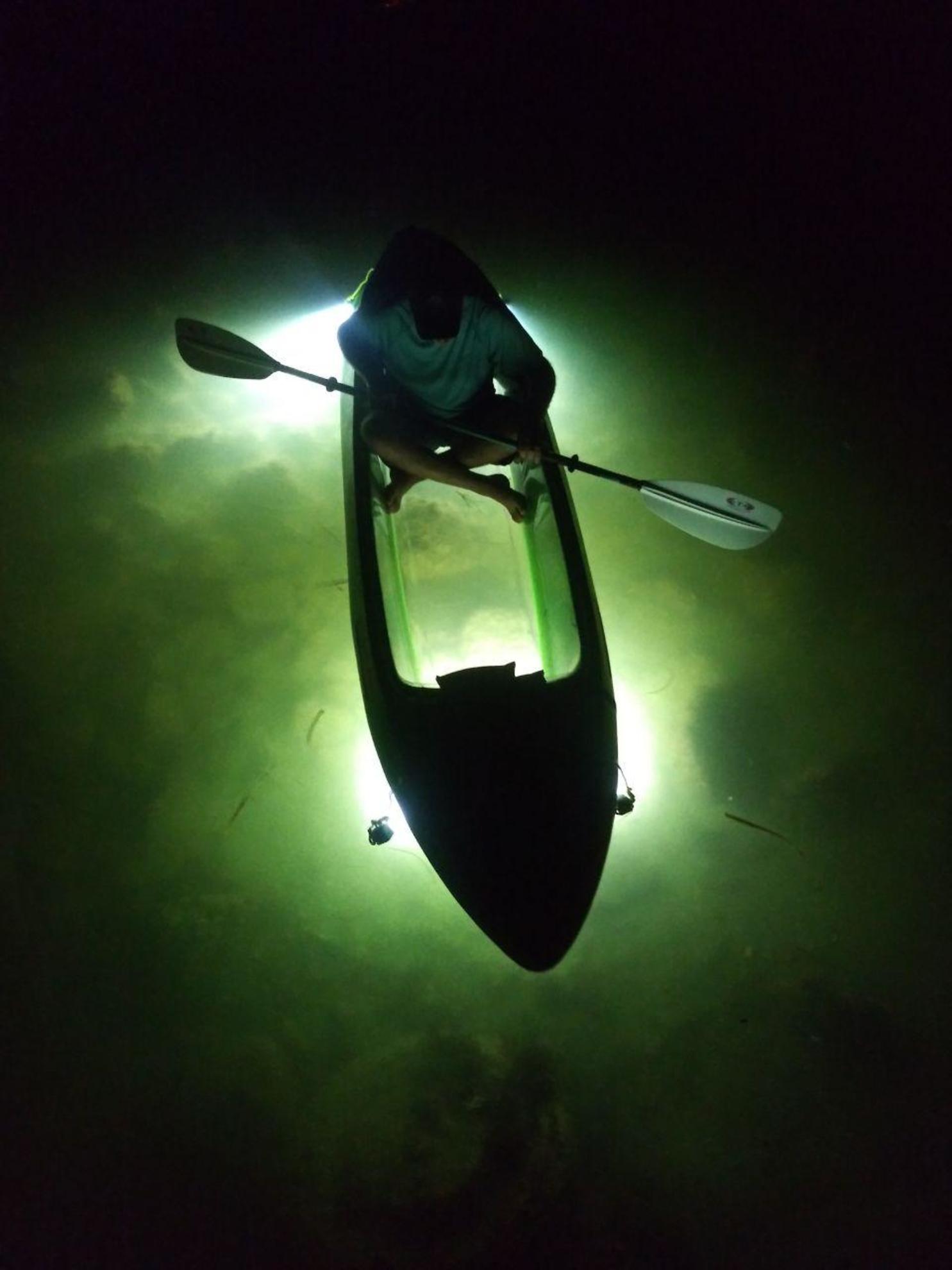 Check out really cool views at night of the underwater ecosystem illuminated with our LED lights