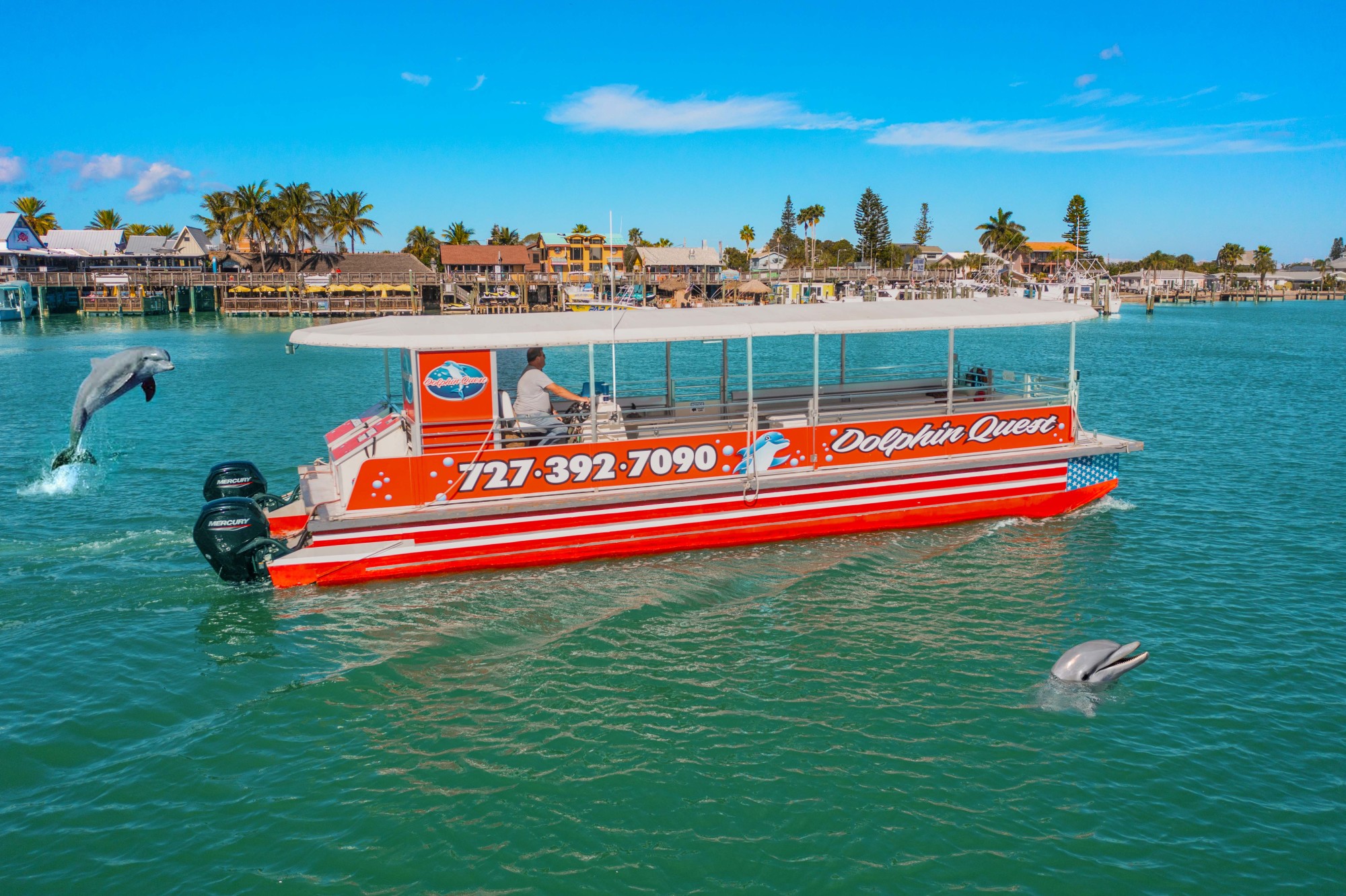 Dolphin Quest