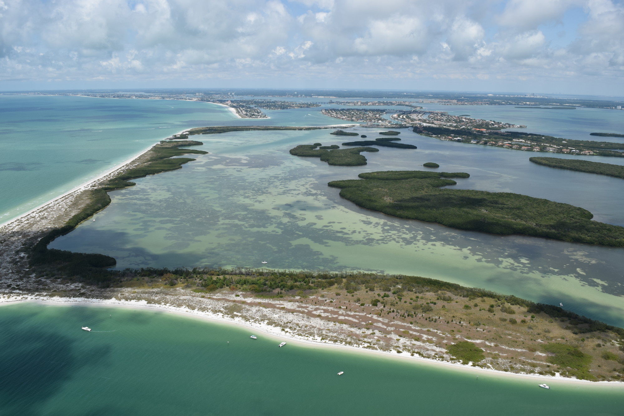 Tampa Bay Aviation