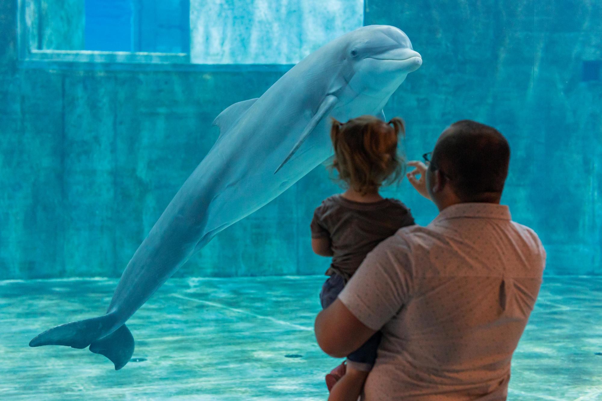 Clearwater Marine Aquarium 1