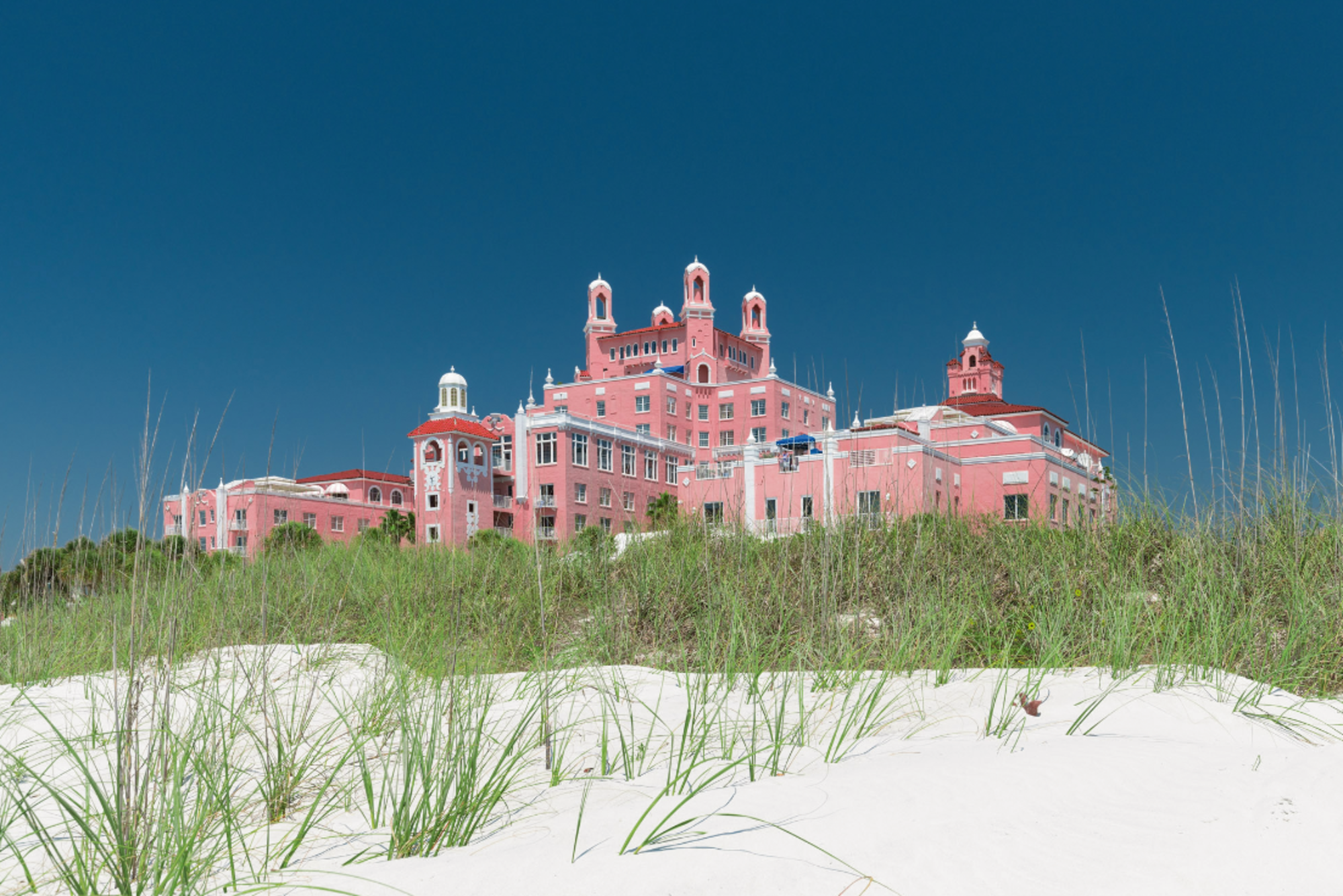 The Don CeSar