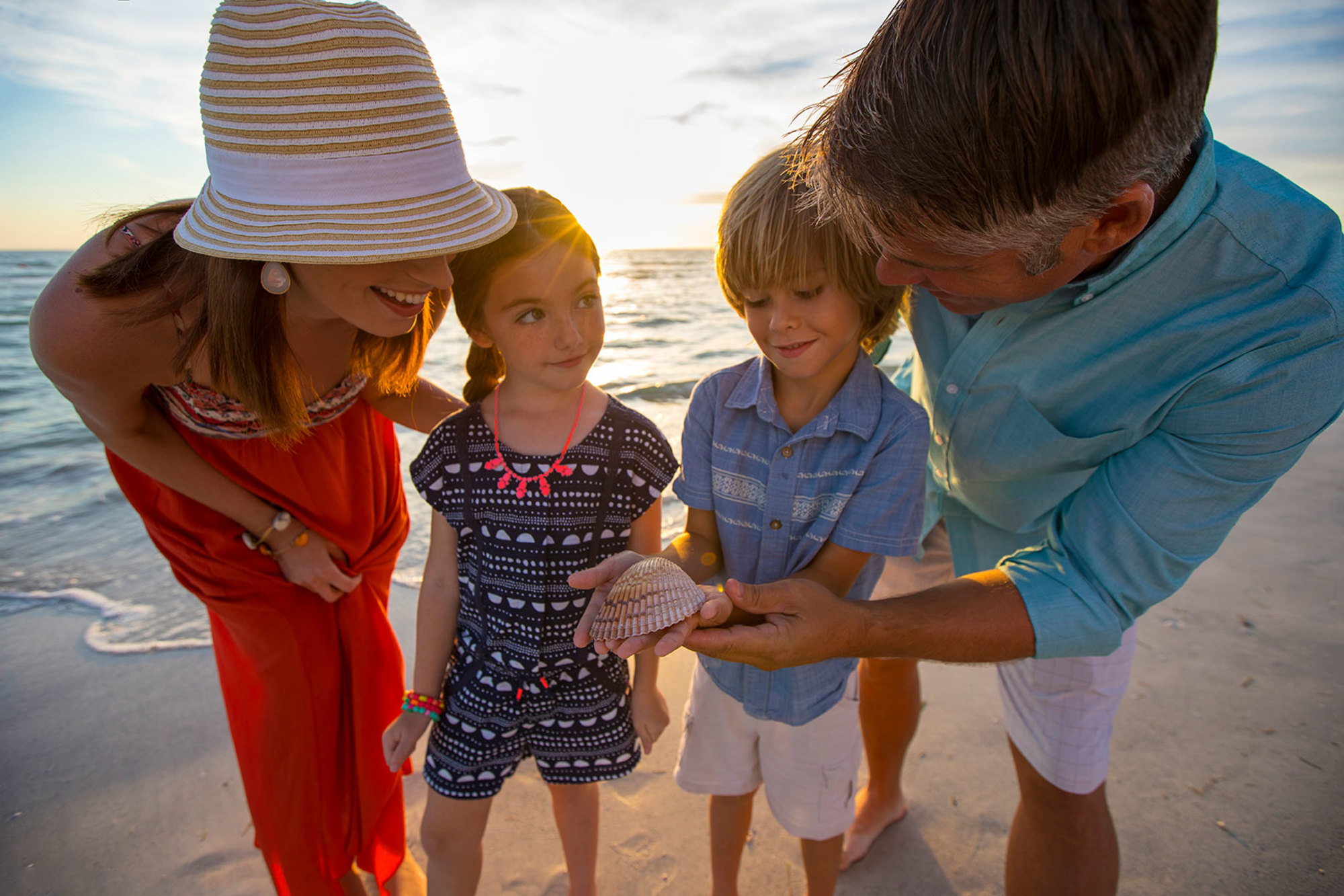 Explore the shore on St. Pete Beach