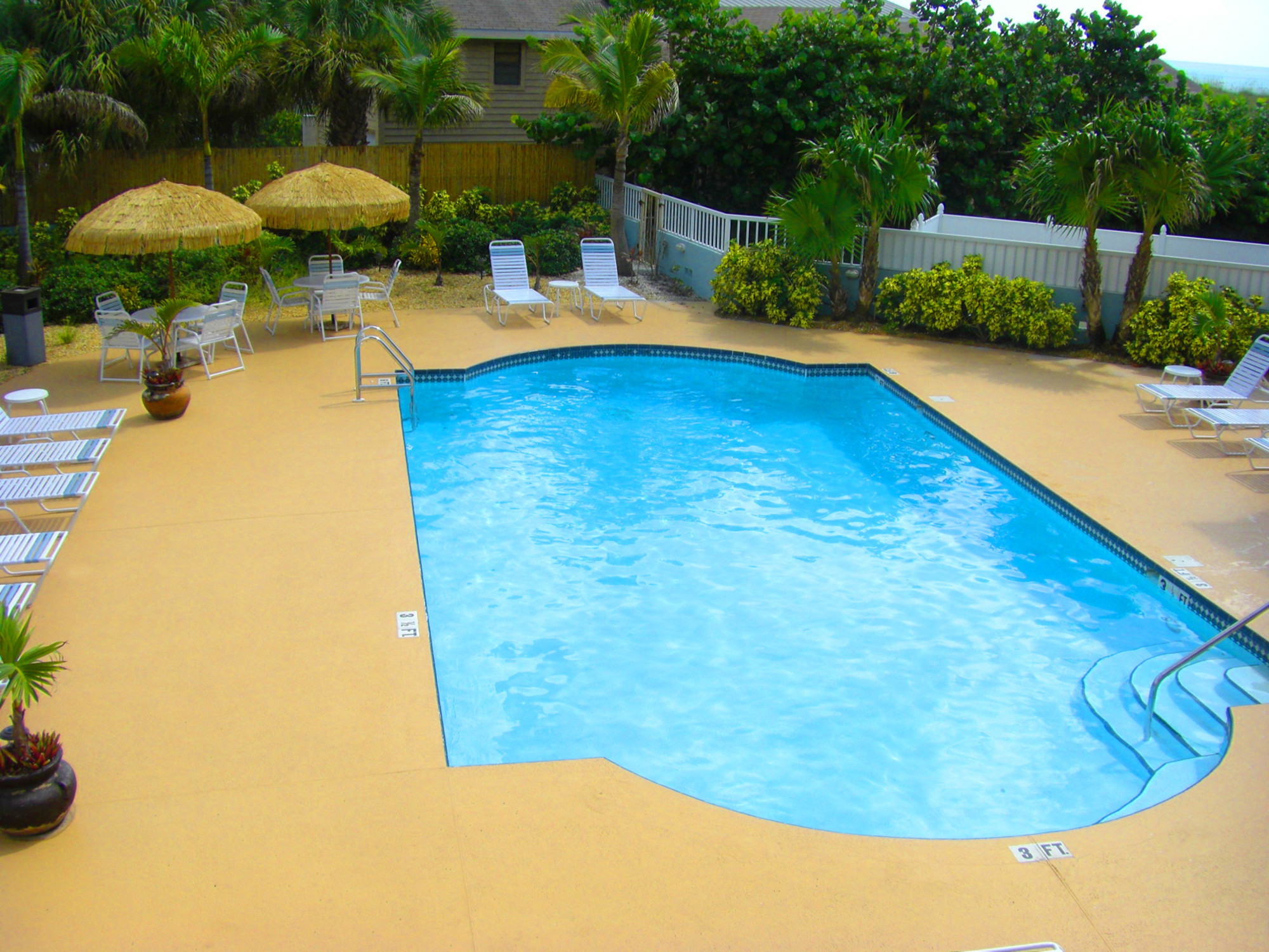Tropical Pool