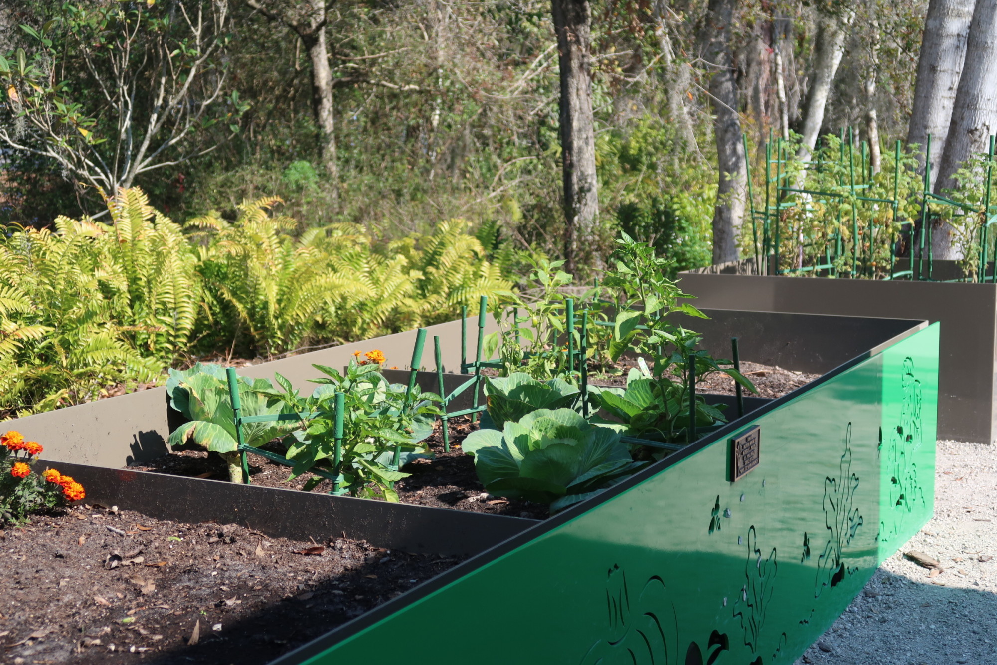 Children's Roots and Shoots Garden