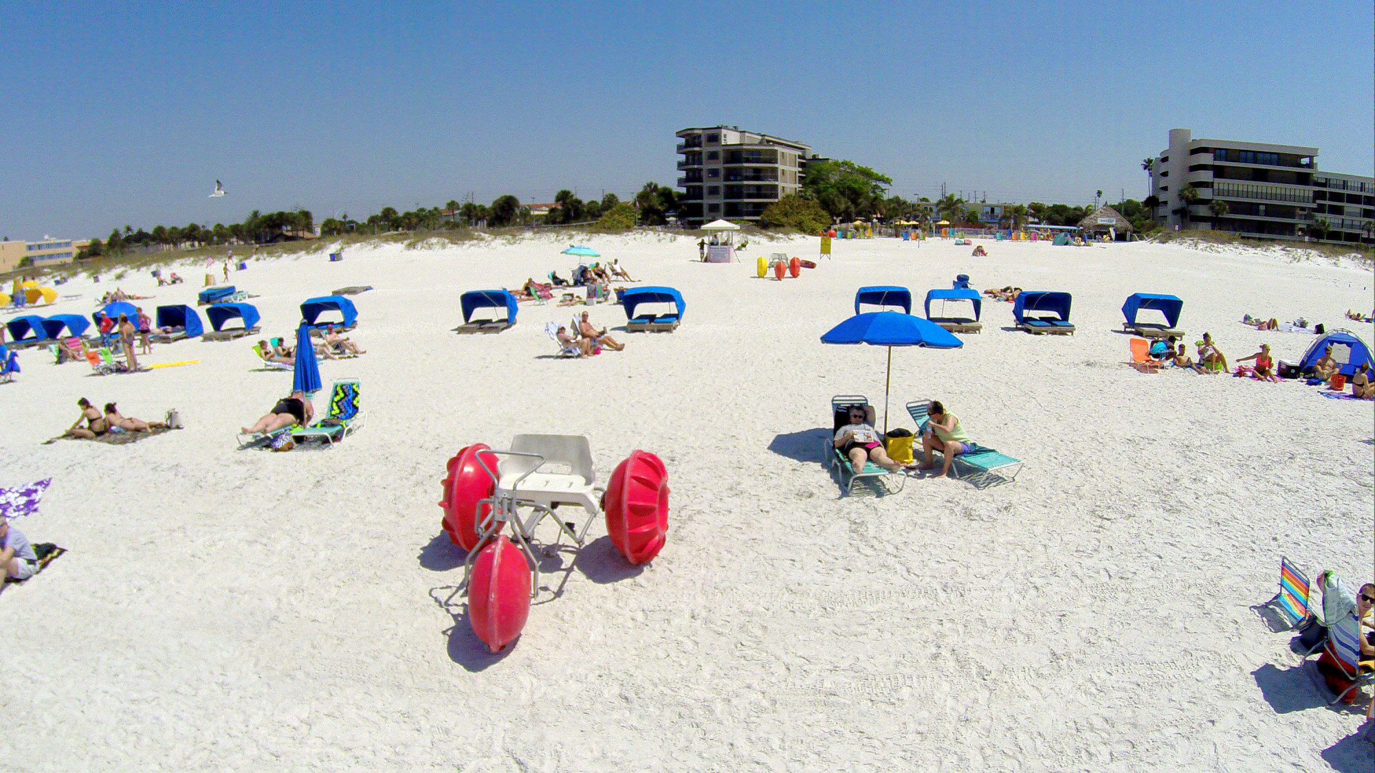Beachfront with Gulf Strand Resort by TRS
