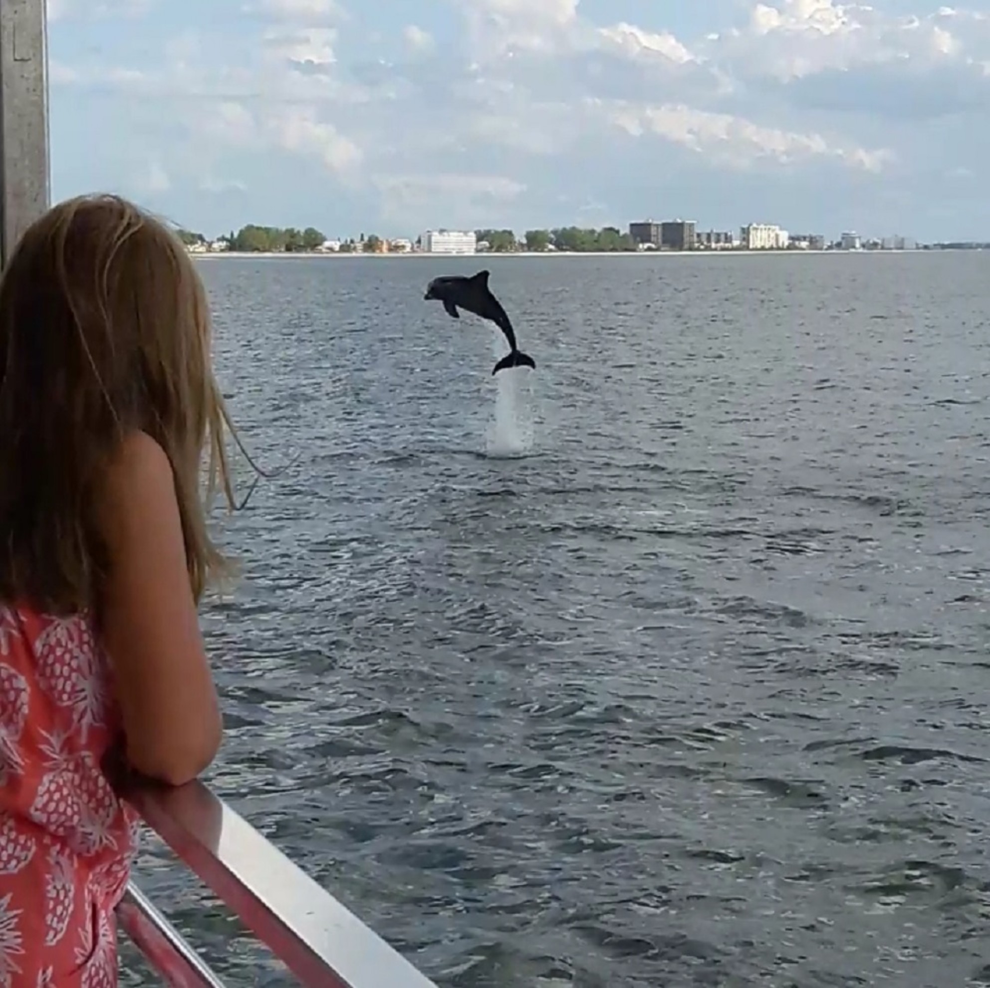 Dolphin Jumping by the Boat
