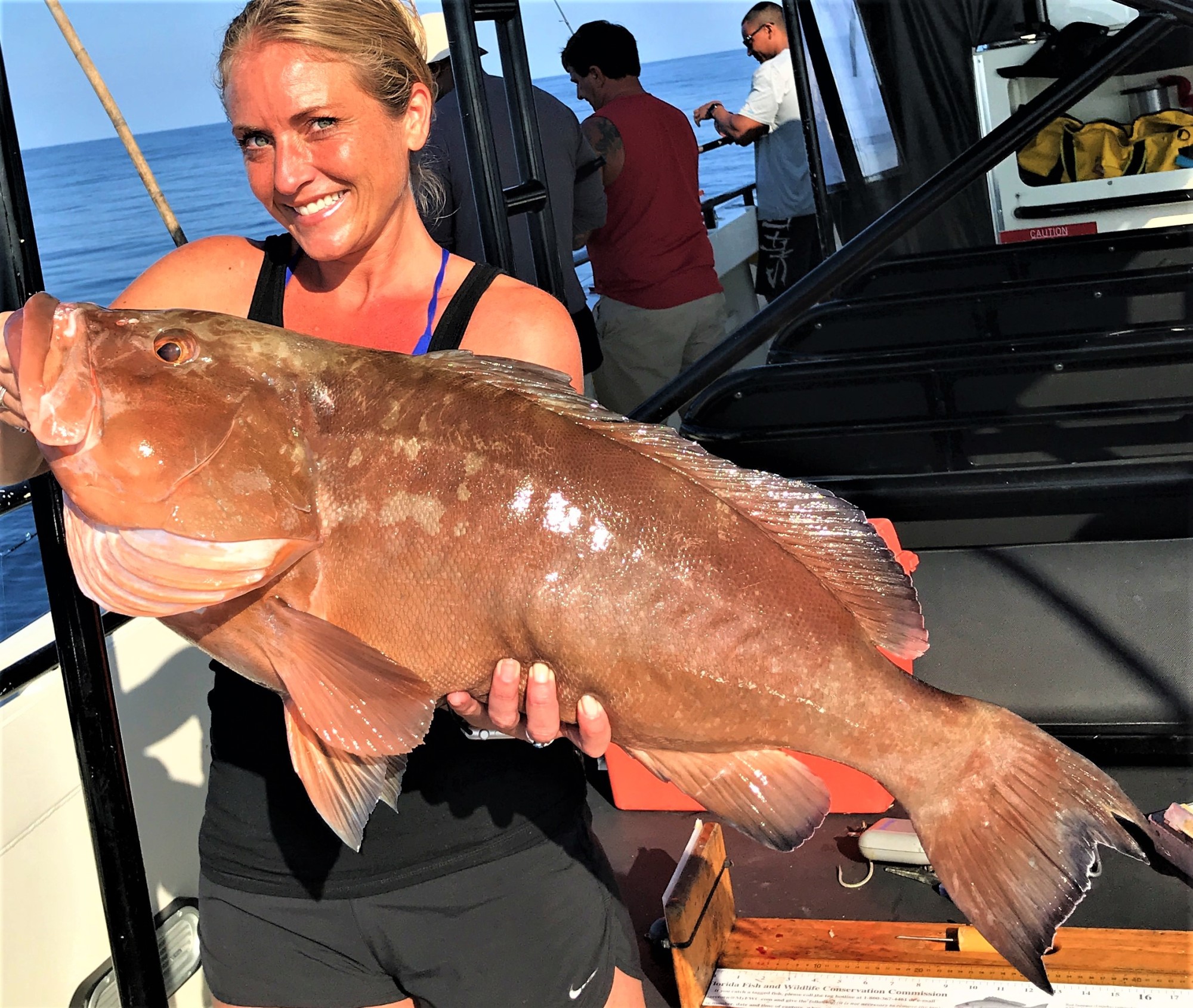 Red Grouper 2