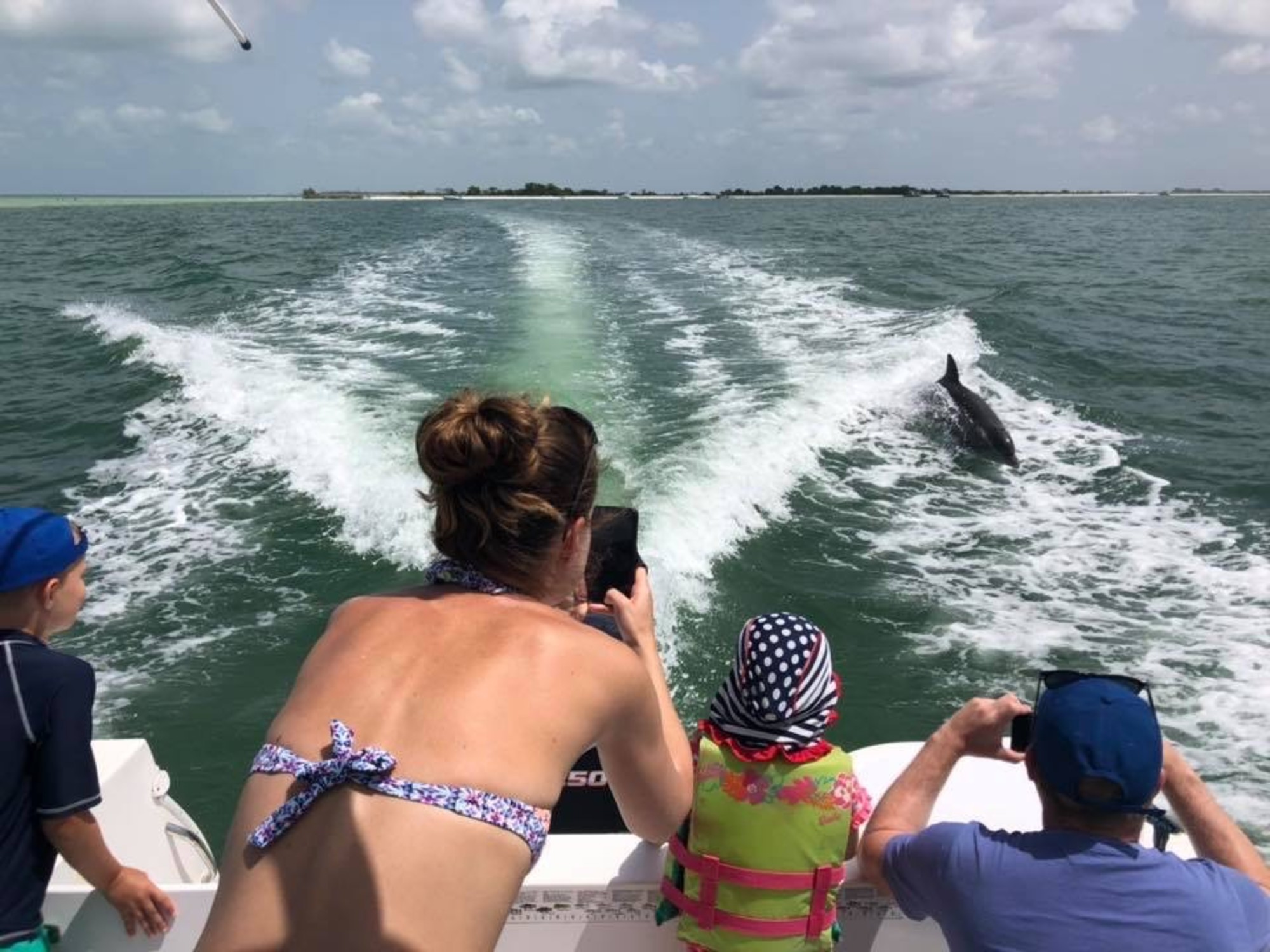 Jumping Dolphins!