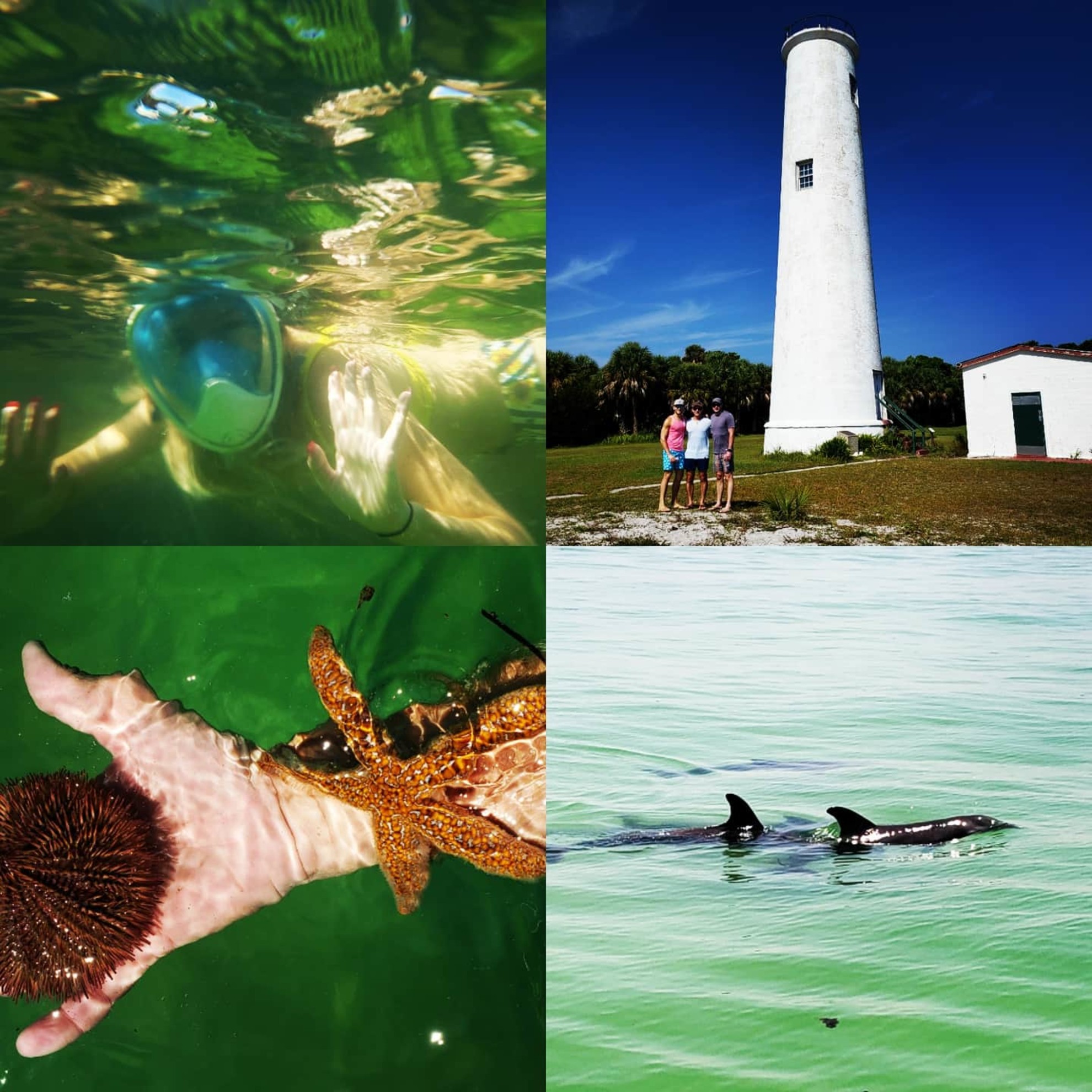 Allen's Aquatic Adventures