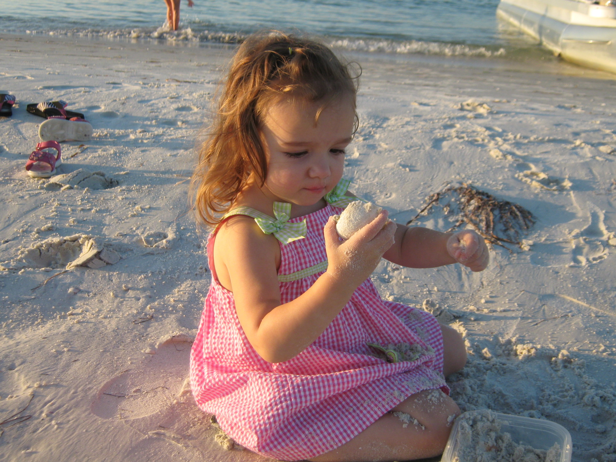 Shell Key island has an enormous number of unique and fascinating shells.
