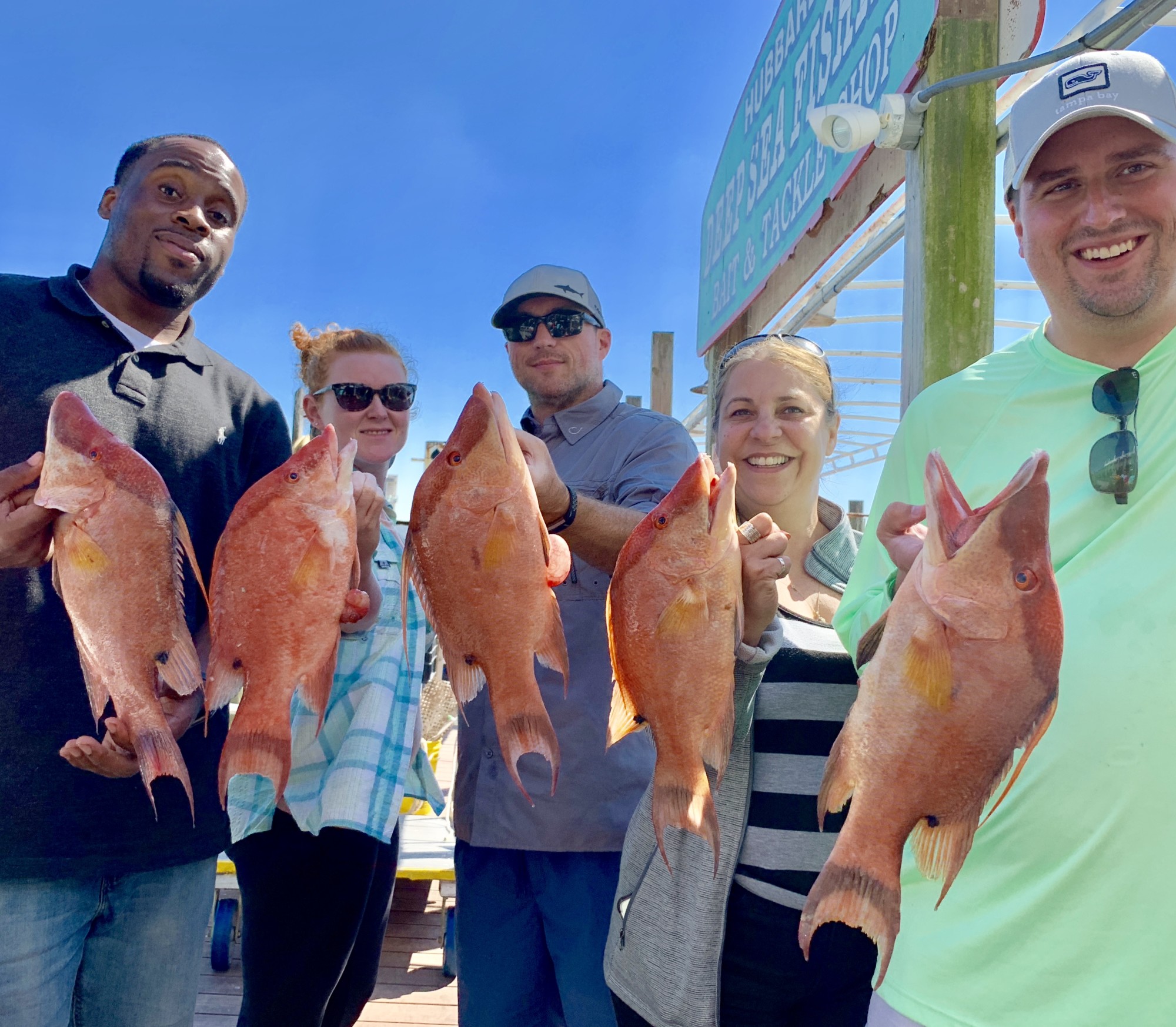 Bunch Of Hogfish