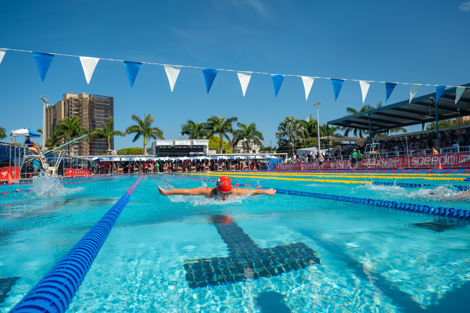 North Shore Swimming