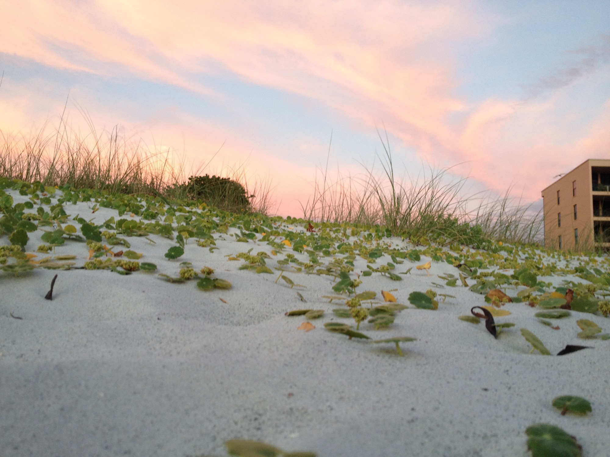 Indian Shores