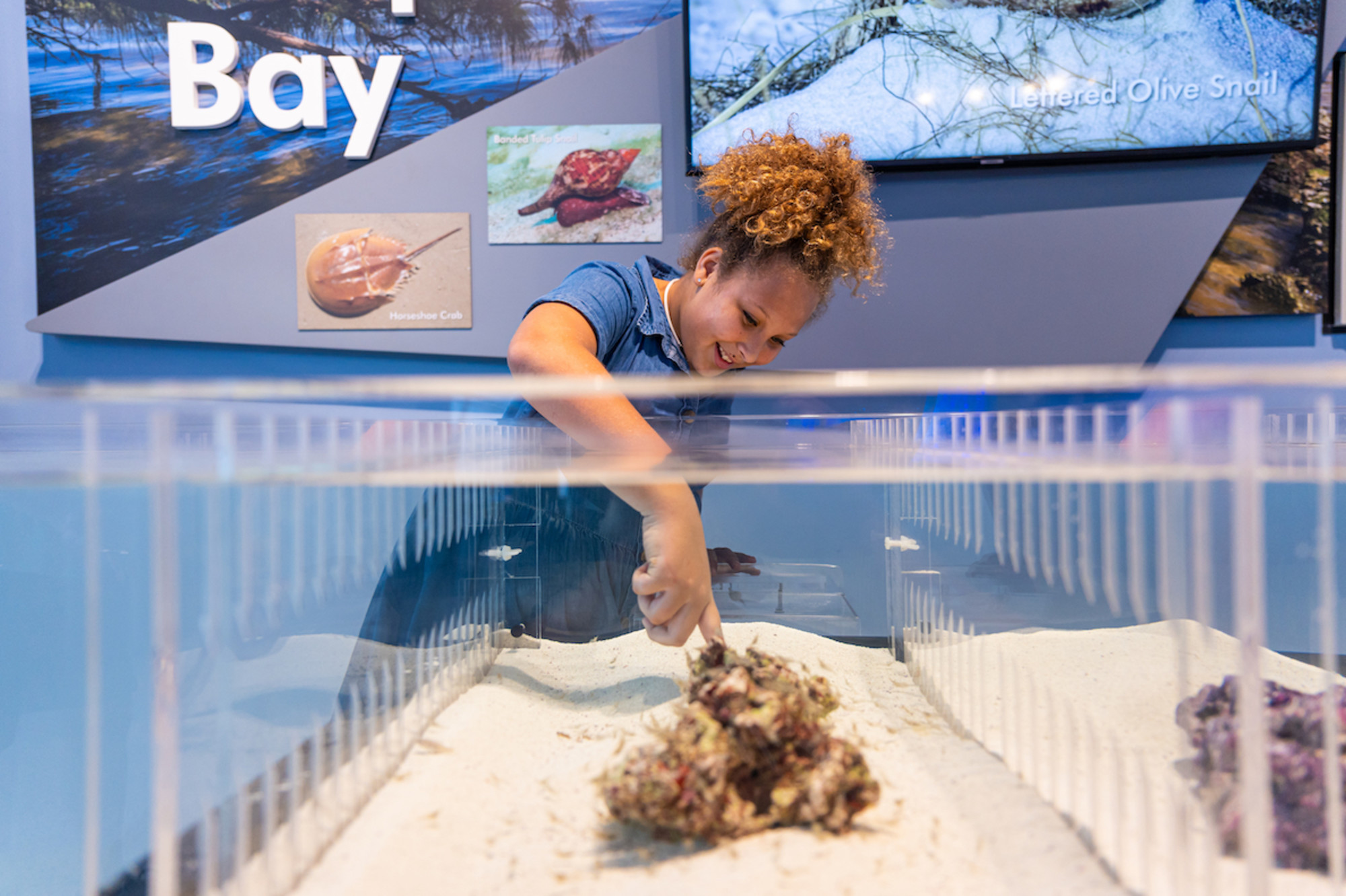 Tampa Bay Watch Discovery Center