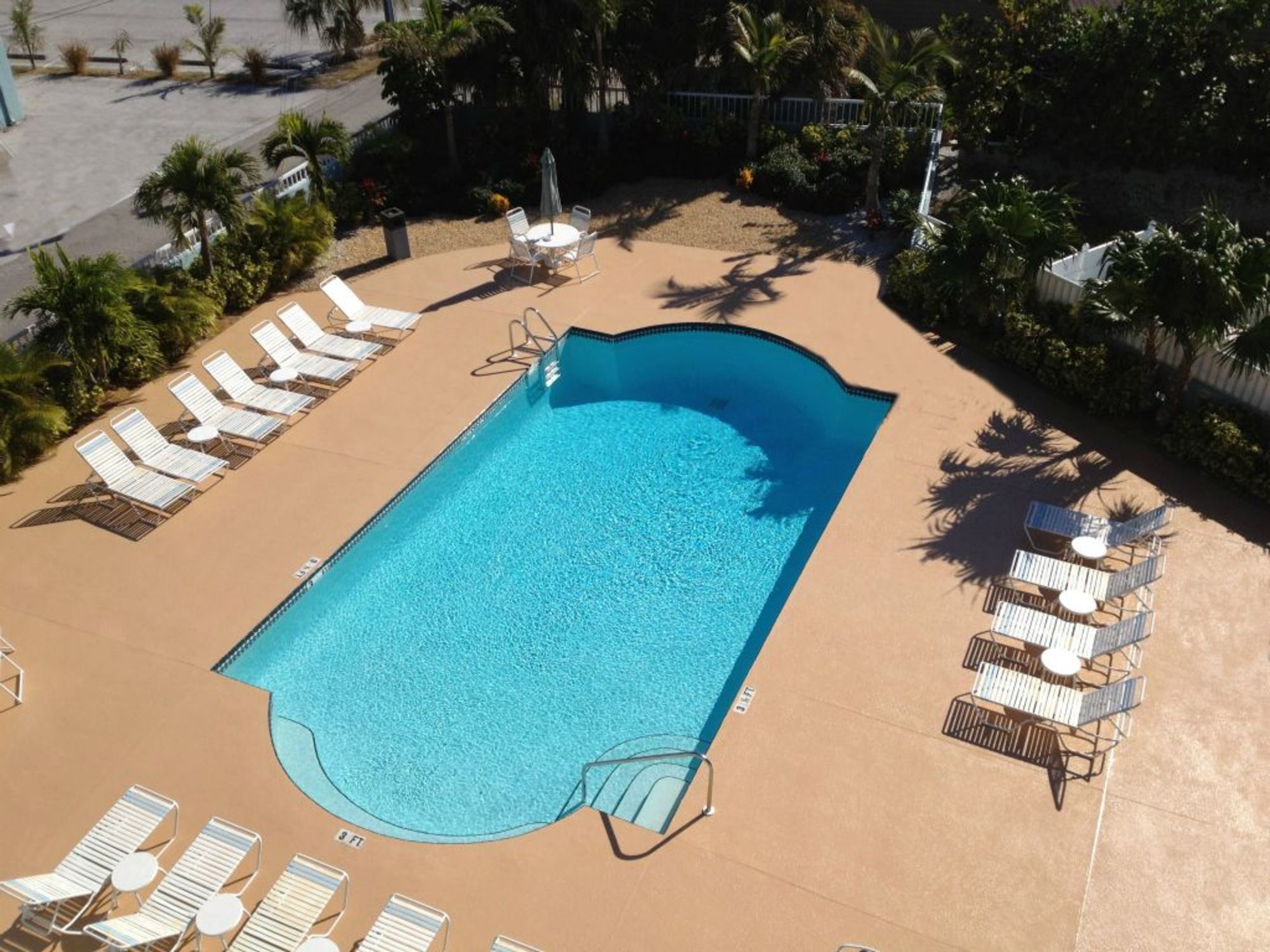 Tropical Pool Area