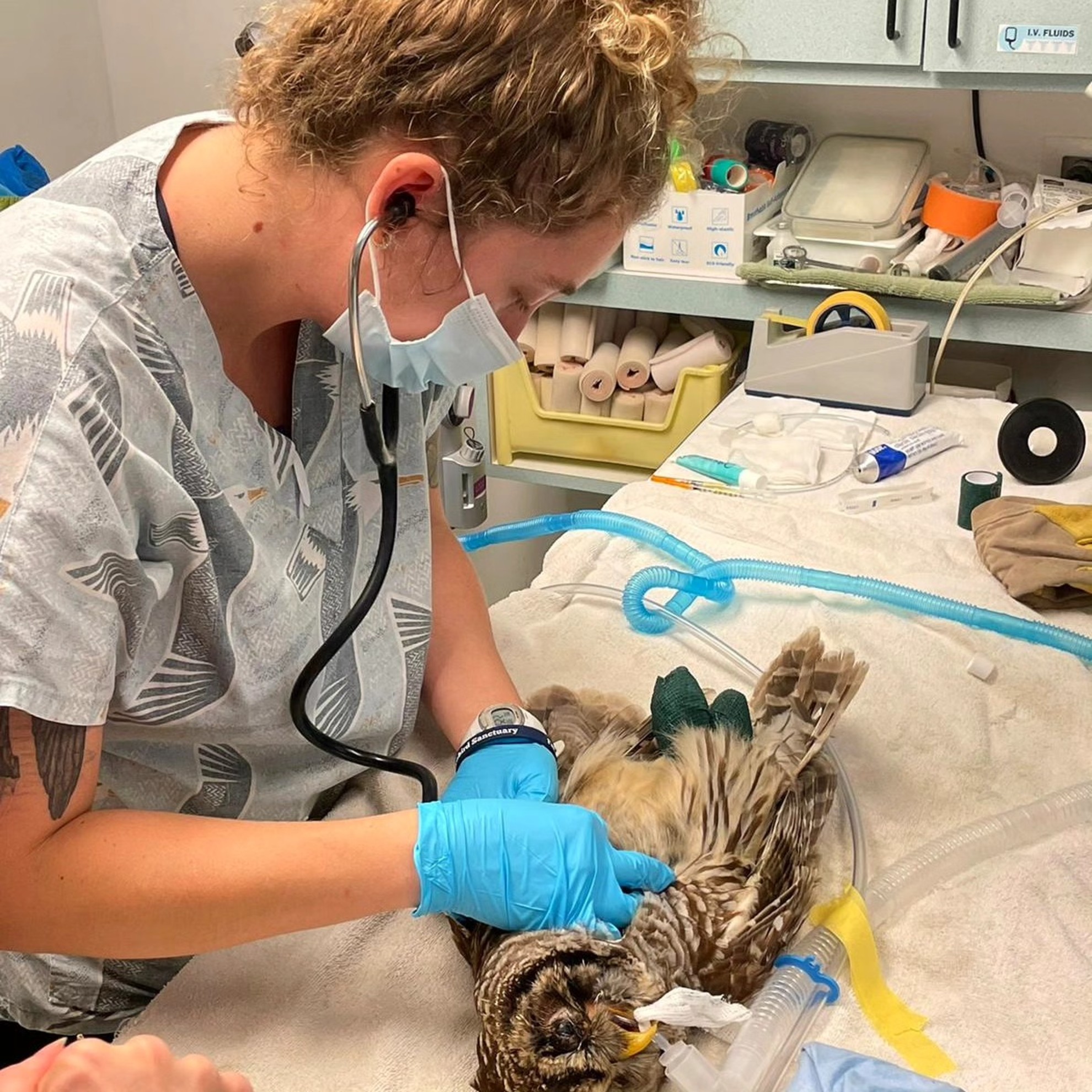 Dr. Marie L. Farr Avian Hospital