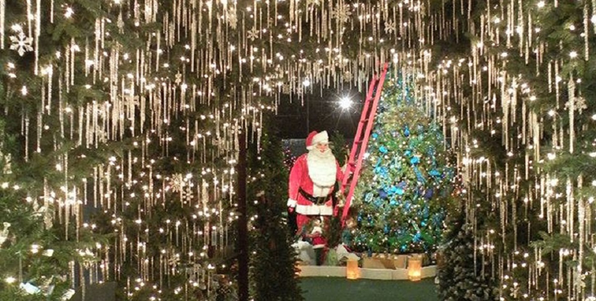 Robert's Christmas Wonderland
