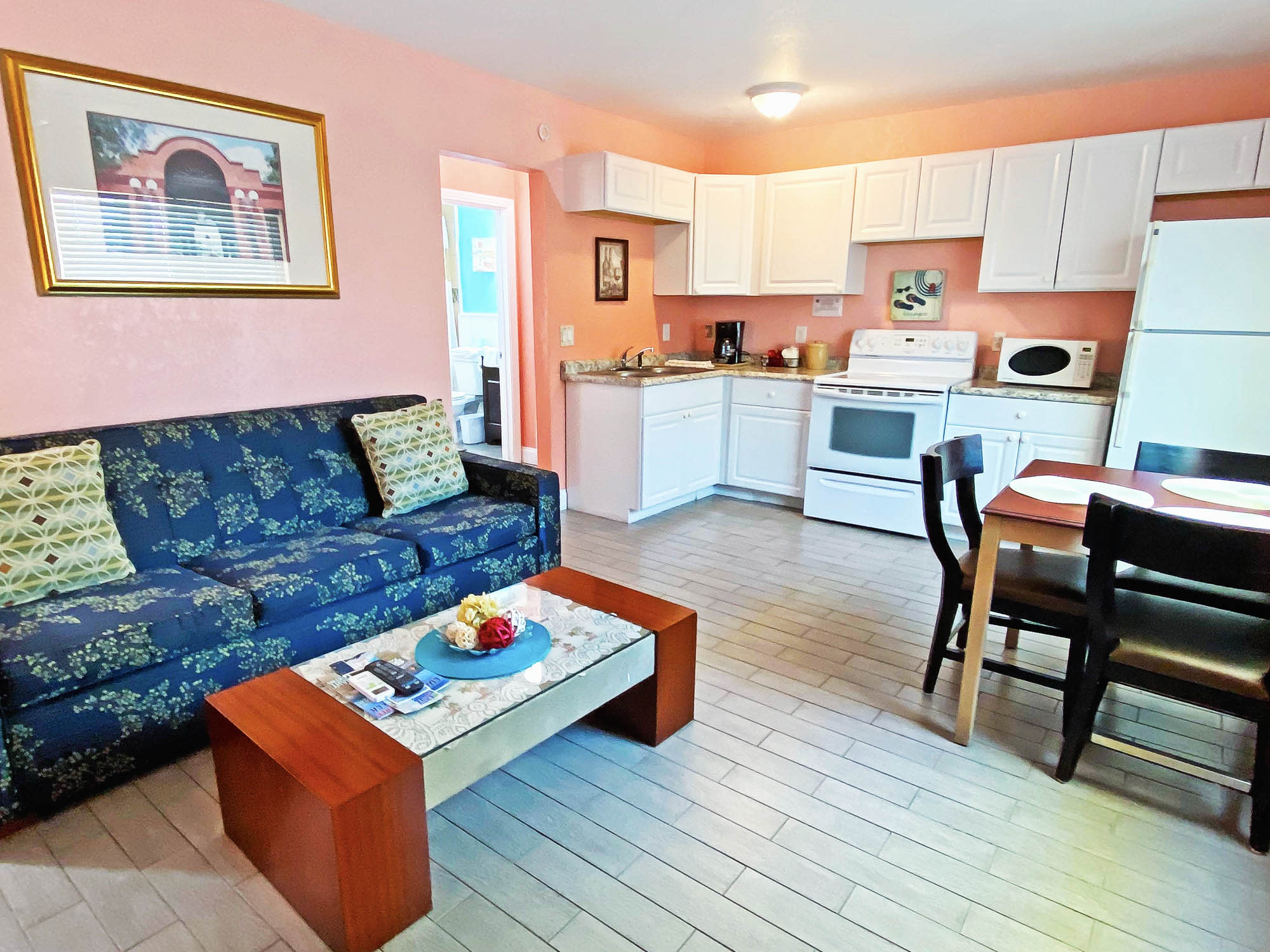 Apartment with a full kitchen and a pull out coach