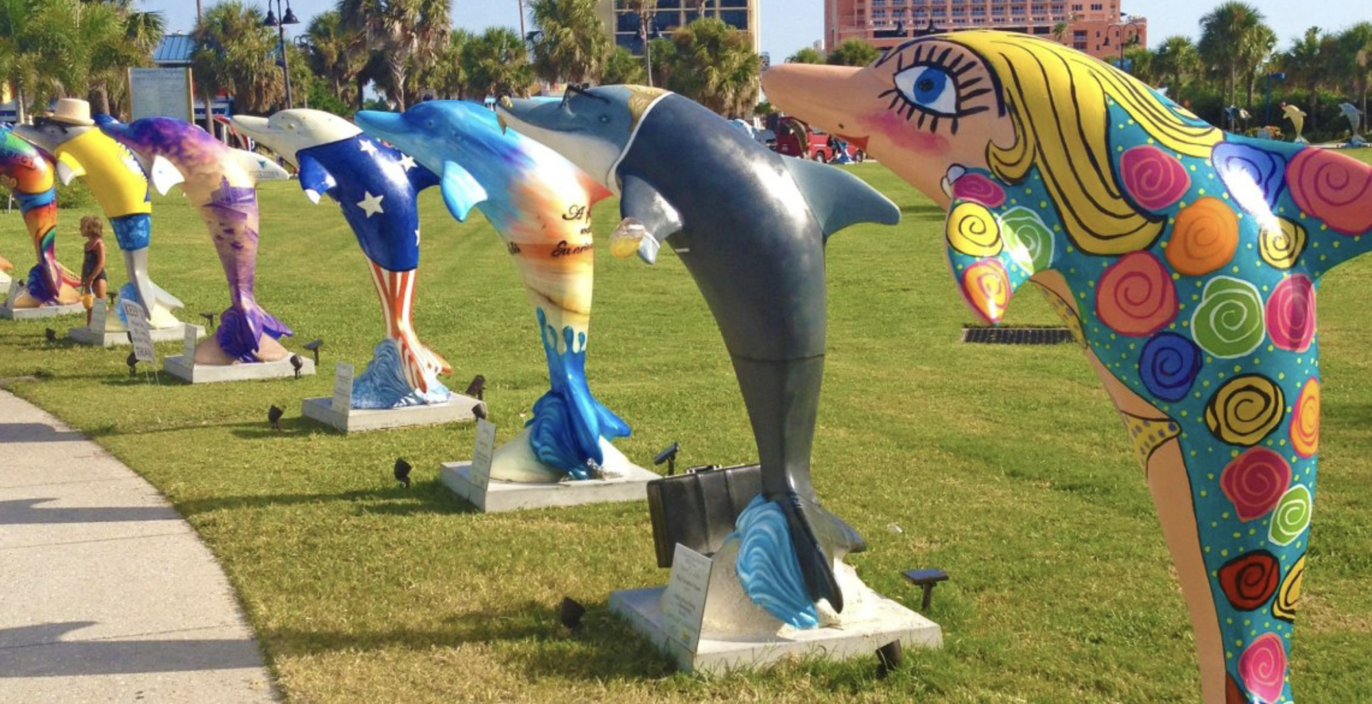 Clearwater Dolphin Trail