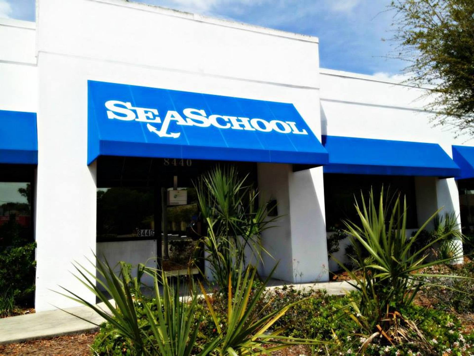 Sea School