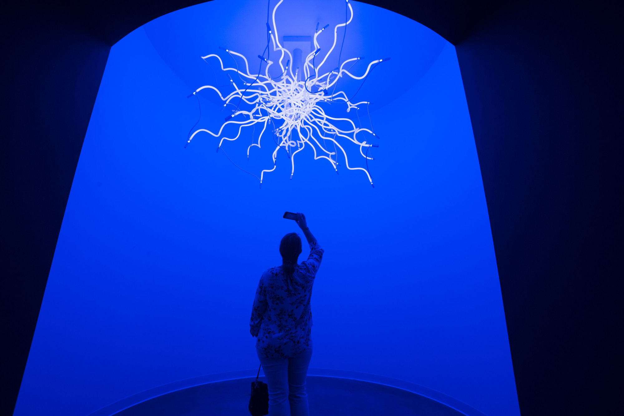 Chihuly Picture