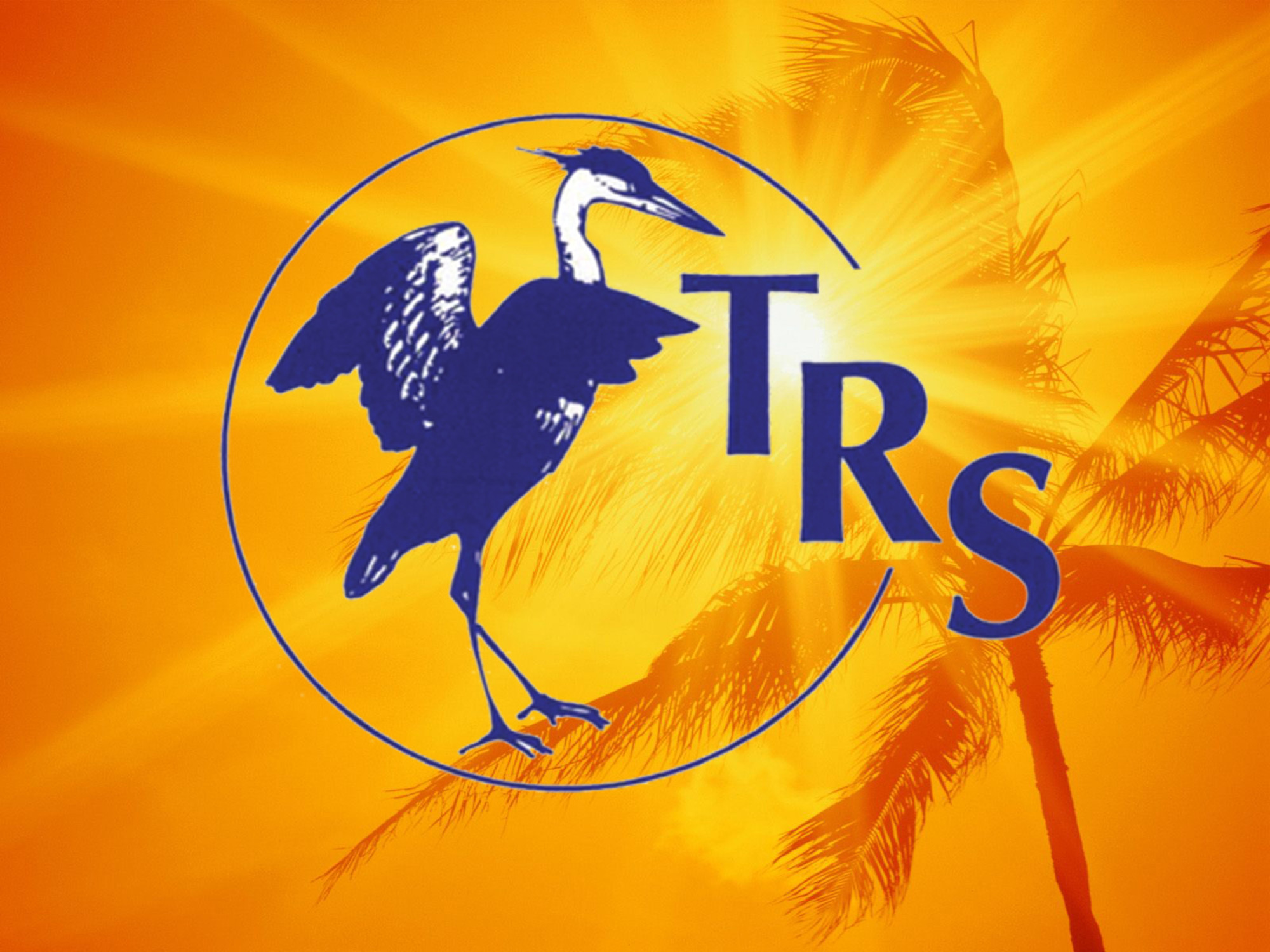 TRS orange palm sun