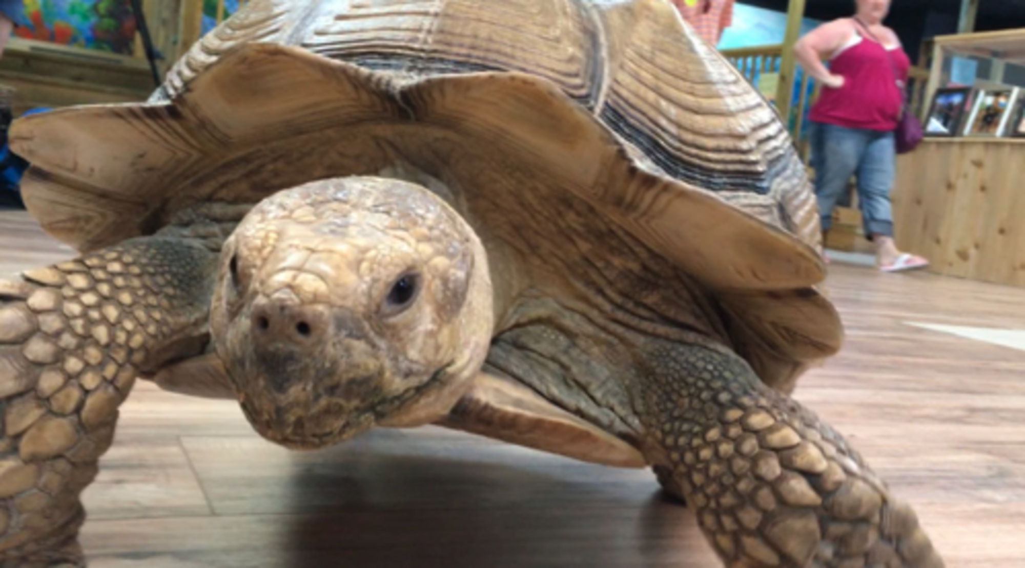 New Wildlife Discovery Center 3