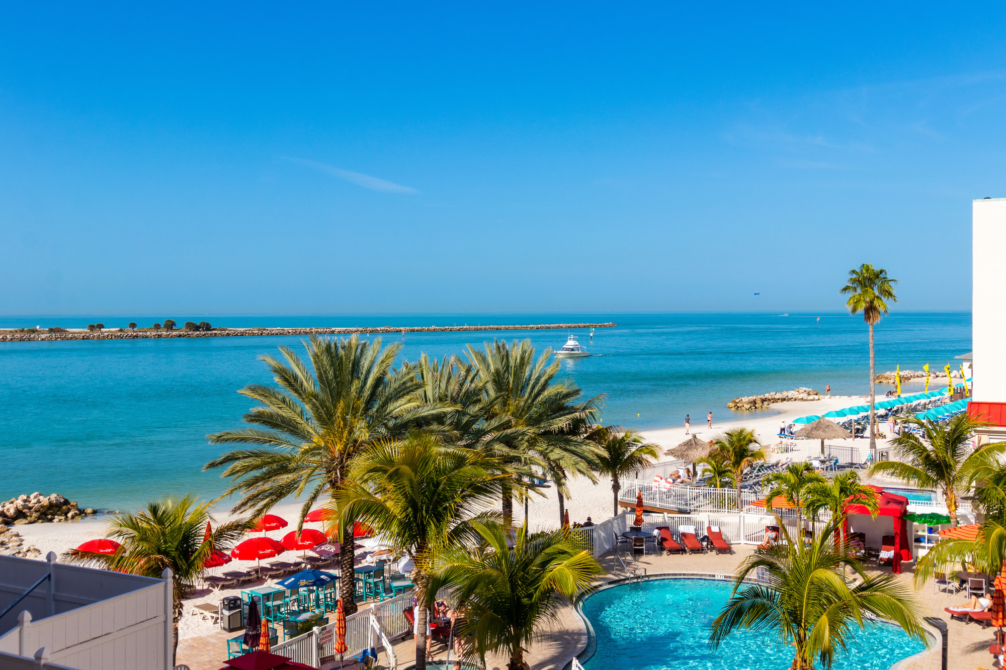 Winter the Dolphin's Beach Club