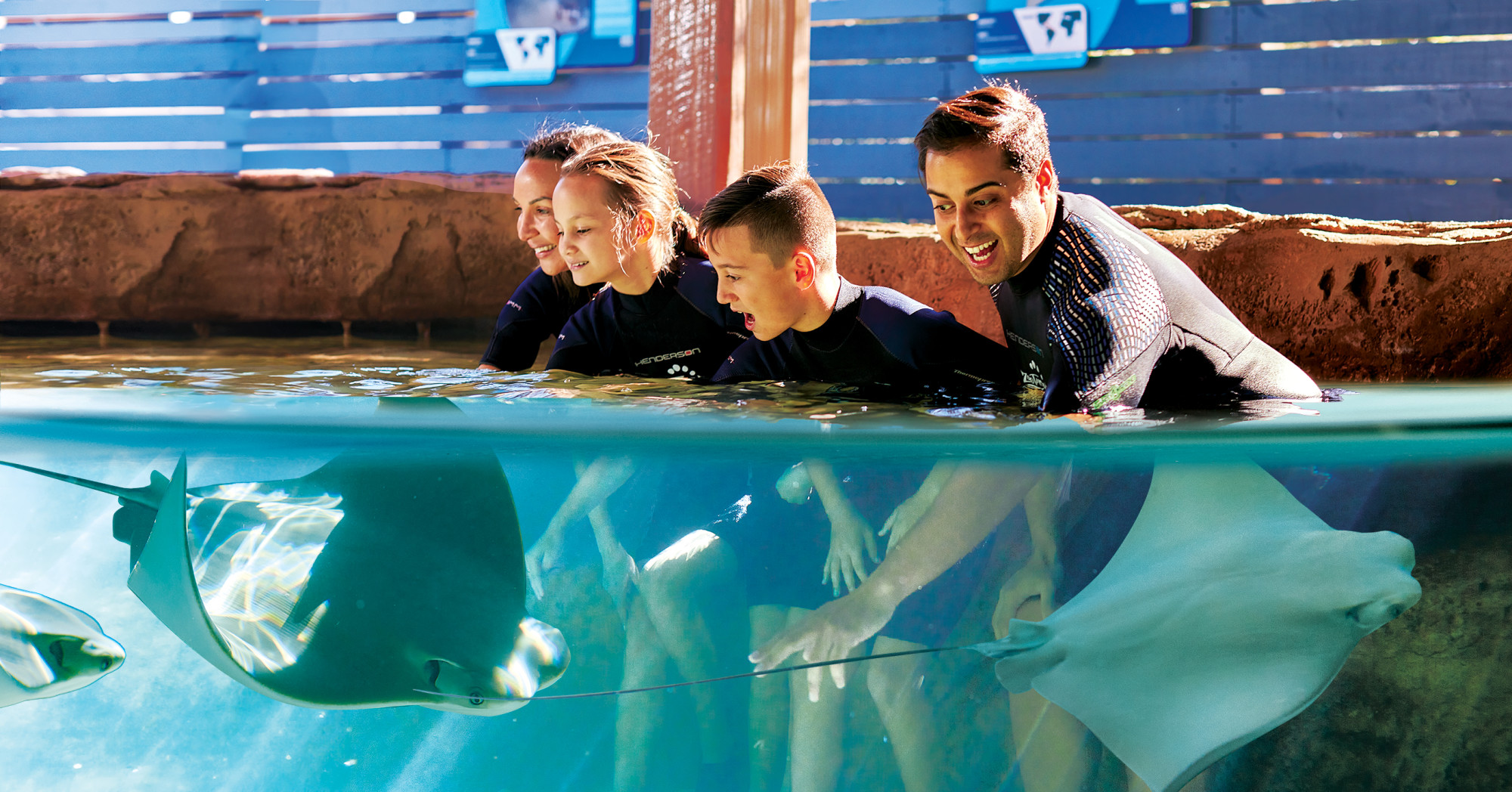ZooTampa Stingray