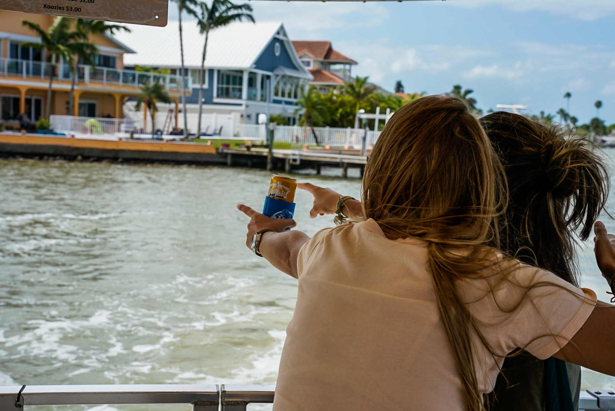 Spotting dolphins