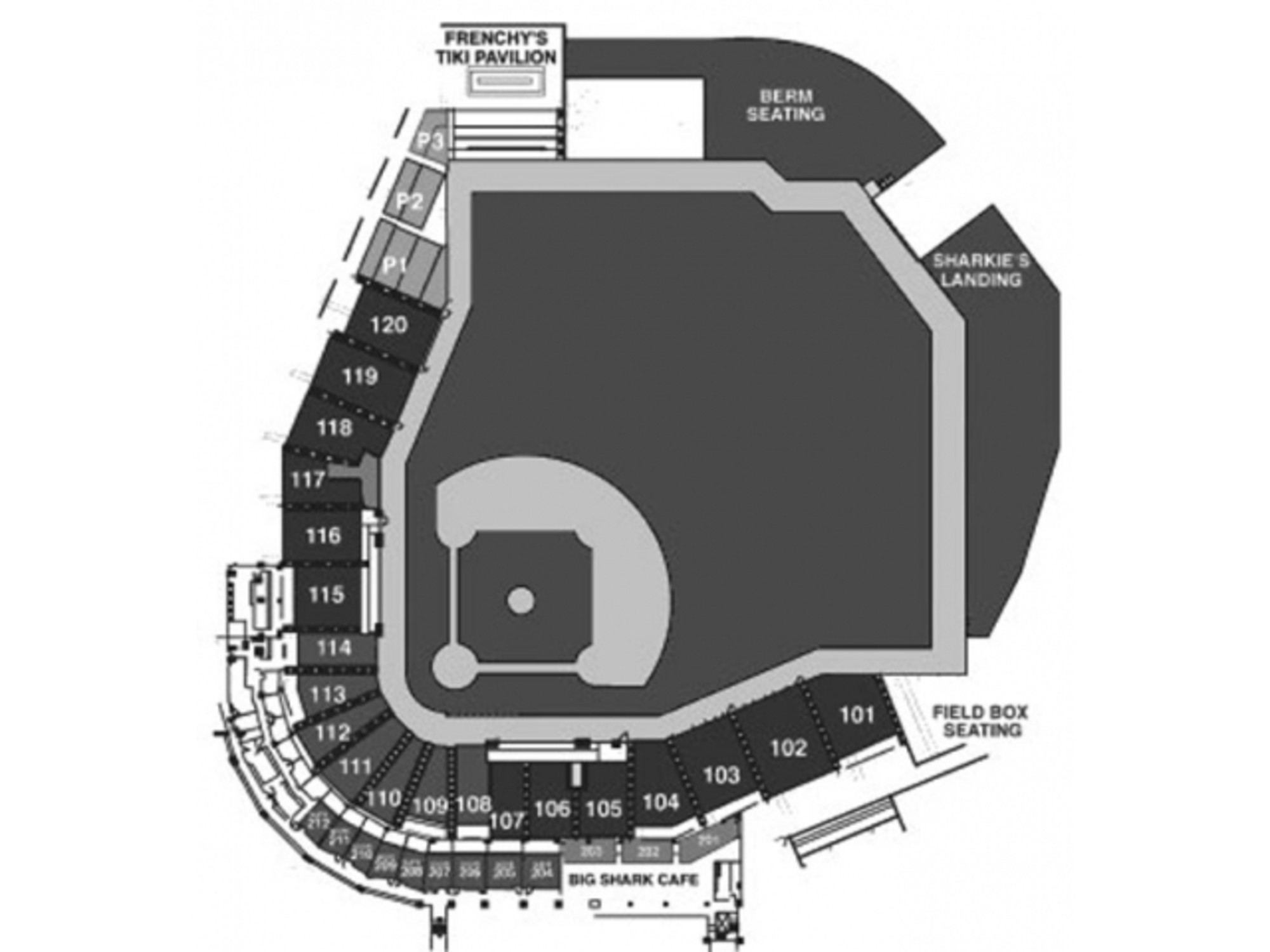 Baycare Ballpark