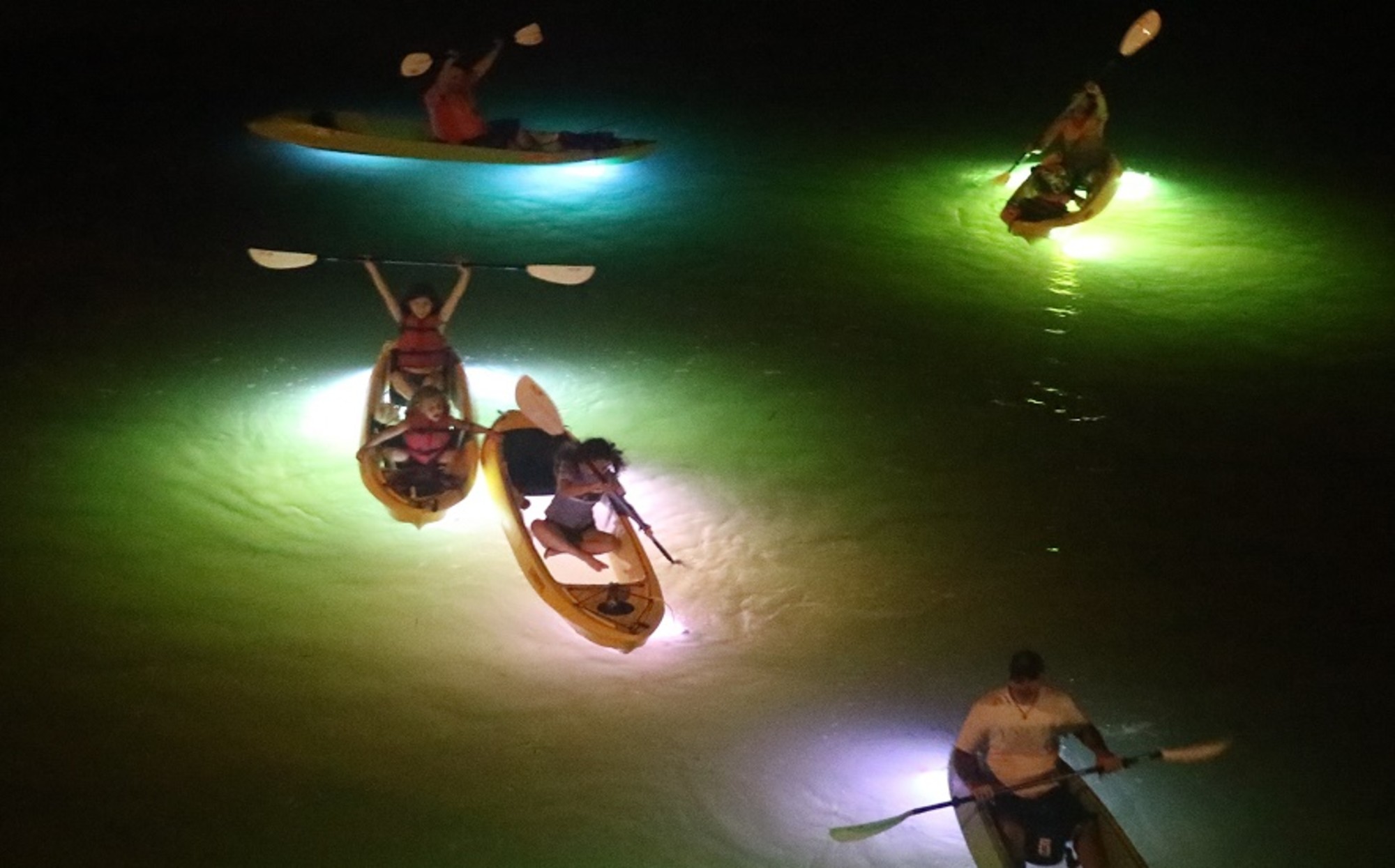 The Ultimate Kayak Adventure - Glass Bottom LED illuminated Kayak Tours