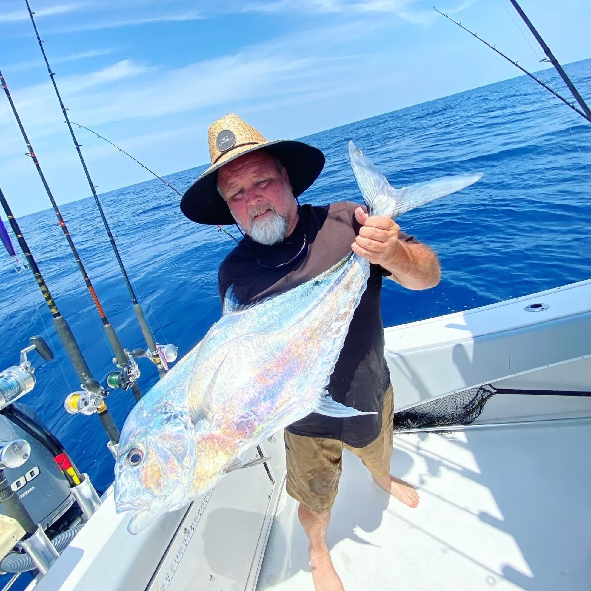 One Fish