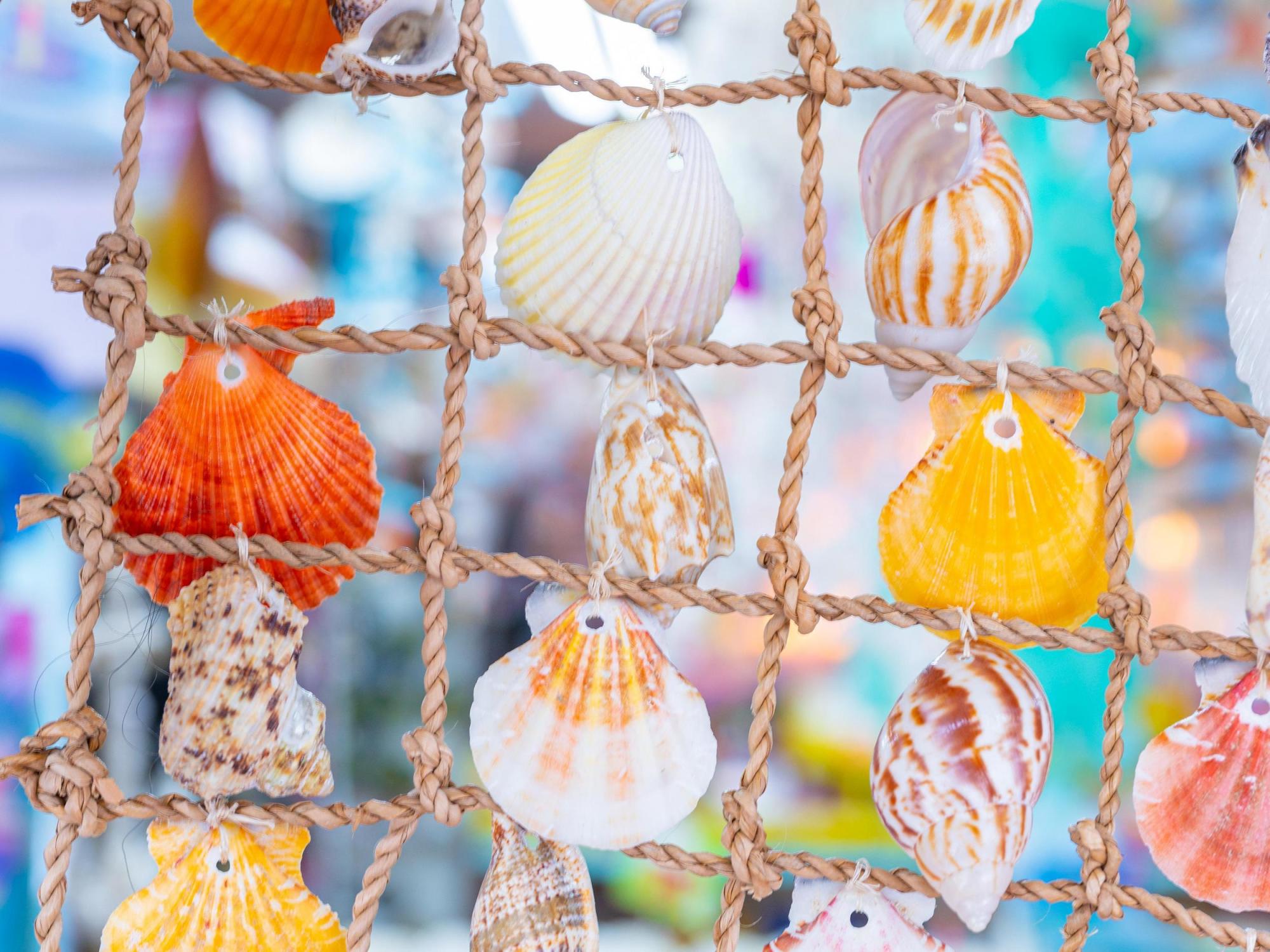 net with shells