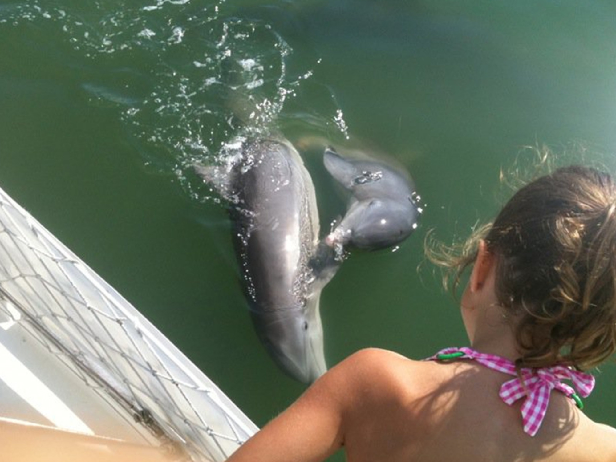 Kids love our dolphin watch. Our dolphins love our kids!