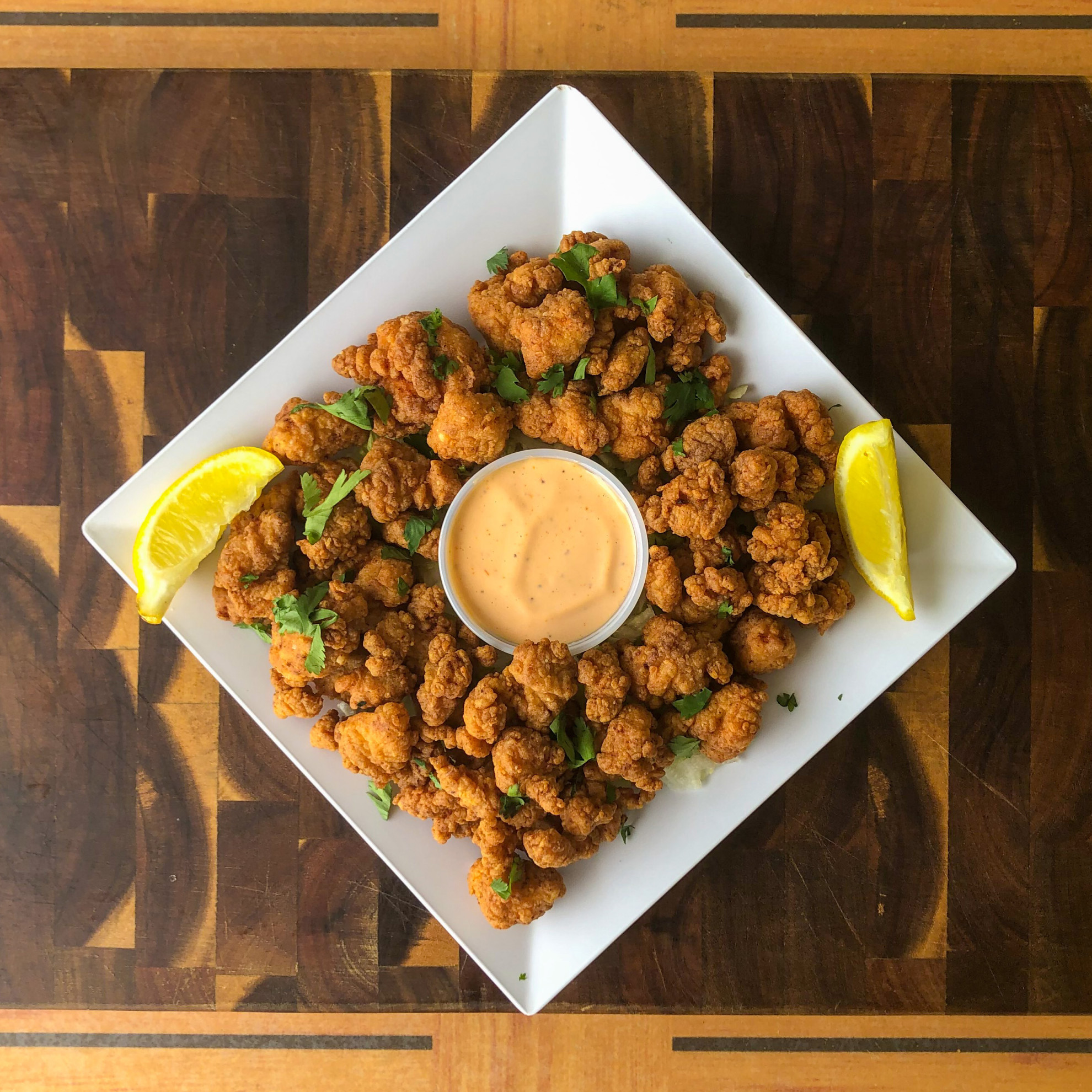 Gator Bites