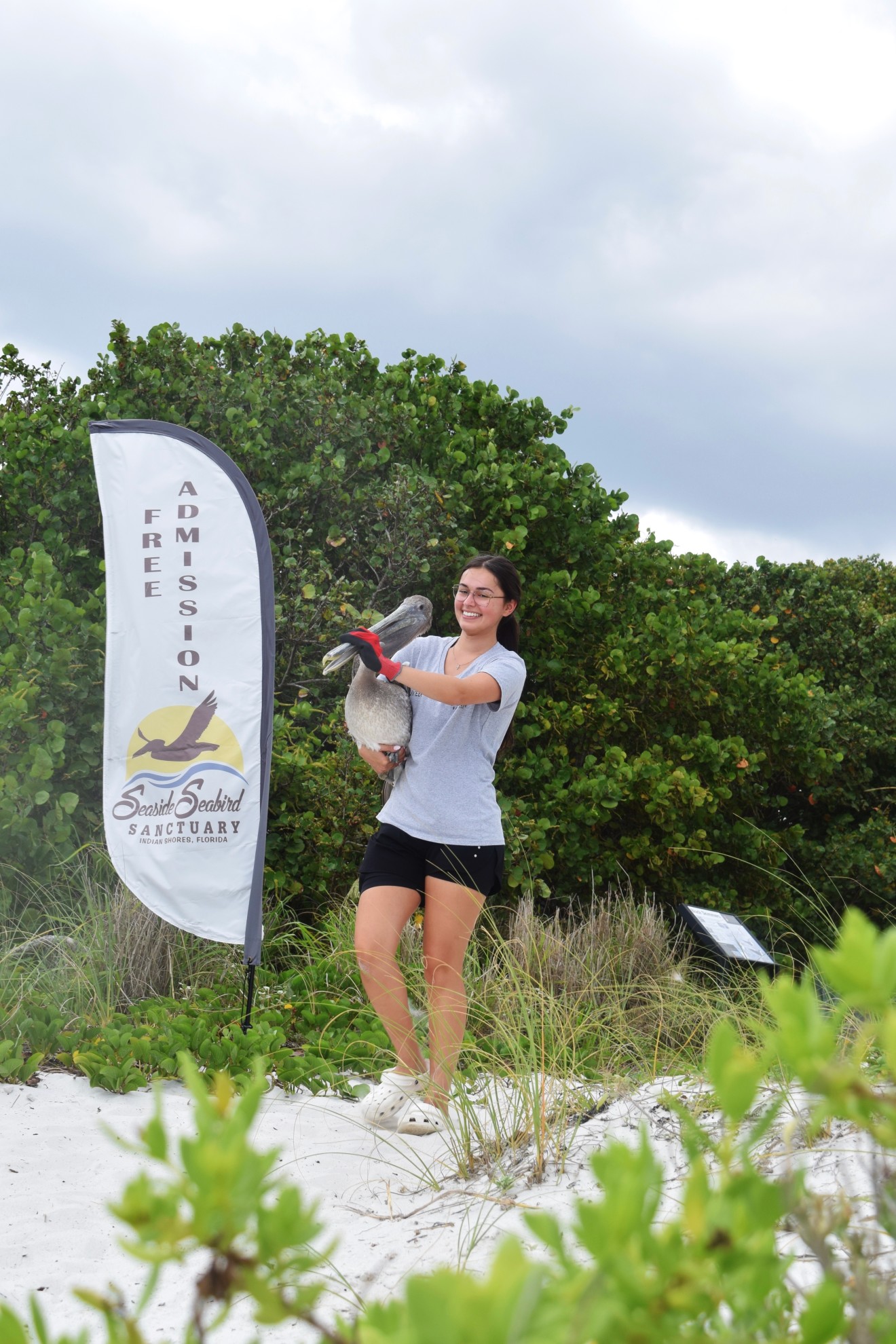 Public Bird Releases on the Beach