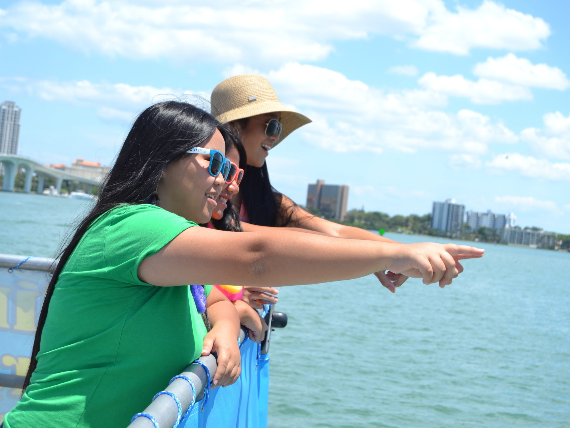 tropics boat tours dolphin sighting