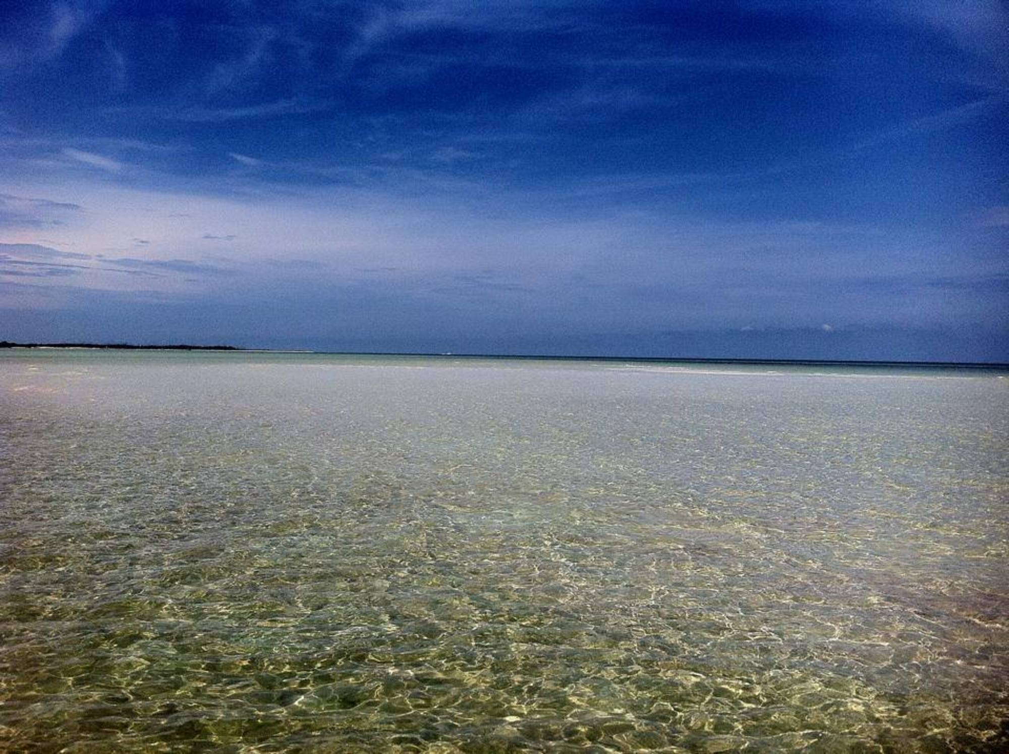 Paradise right off our coast