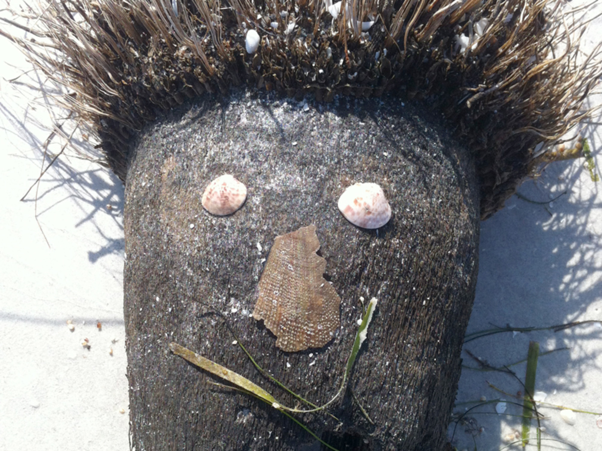 On the beach, happiness is a bad hair day!