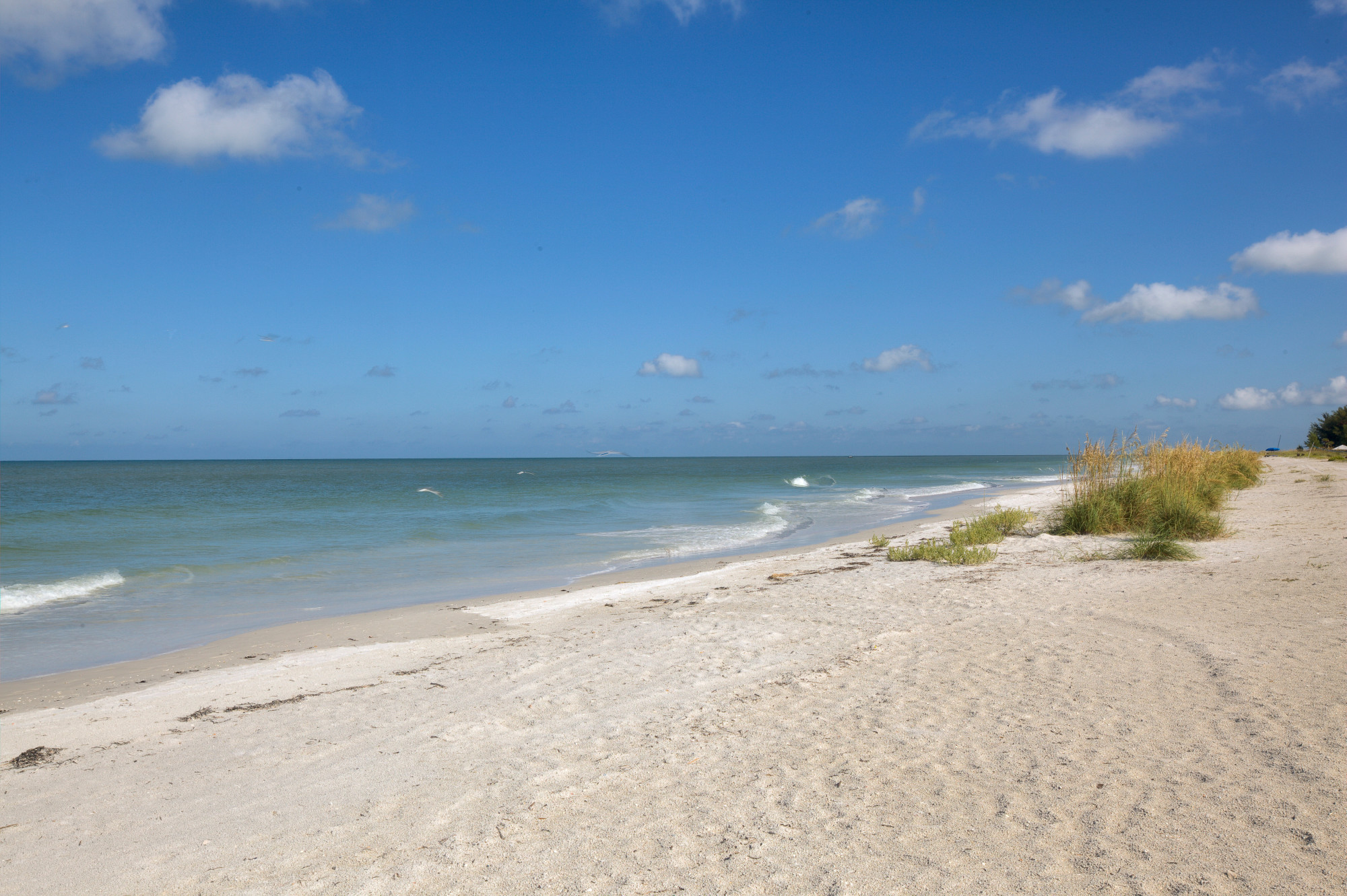 Walking distance to the beach