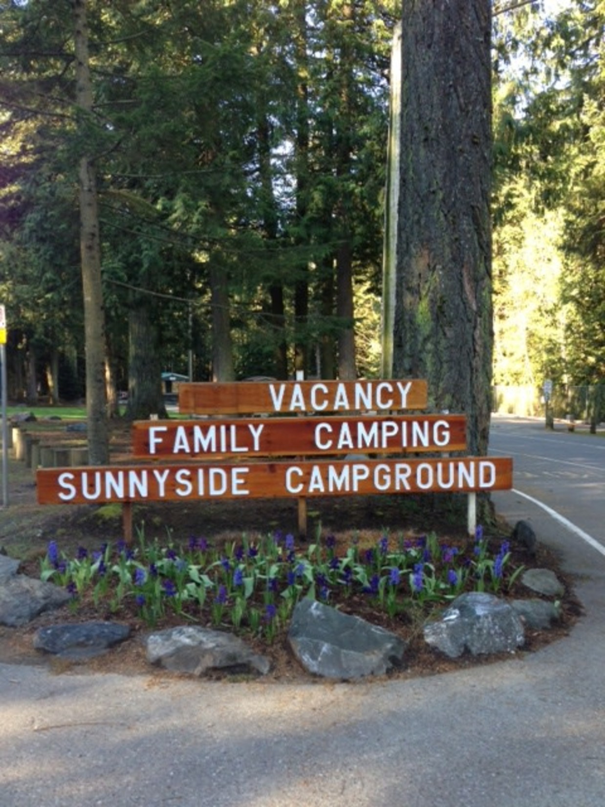 Sunnyside Campground