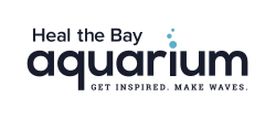 Heal the Bay Aquarium