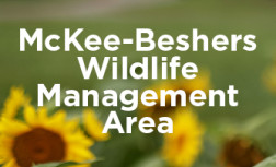 McKee-Beshers Sunflower Fields logo thumbnail