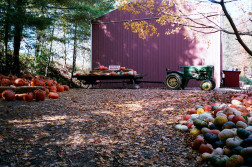 Butler’s Orchard logo thumbnail