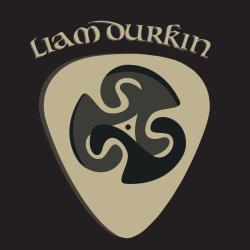 CONCERTS ON THE GREEN...LIAM DURKIN